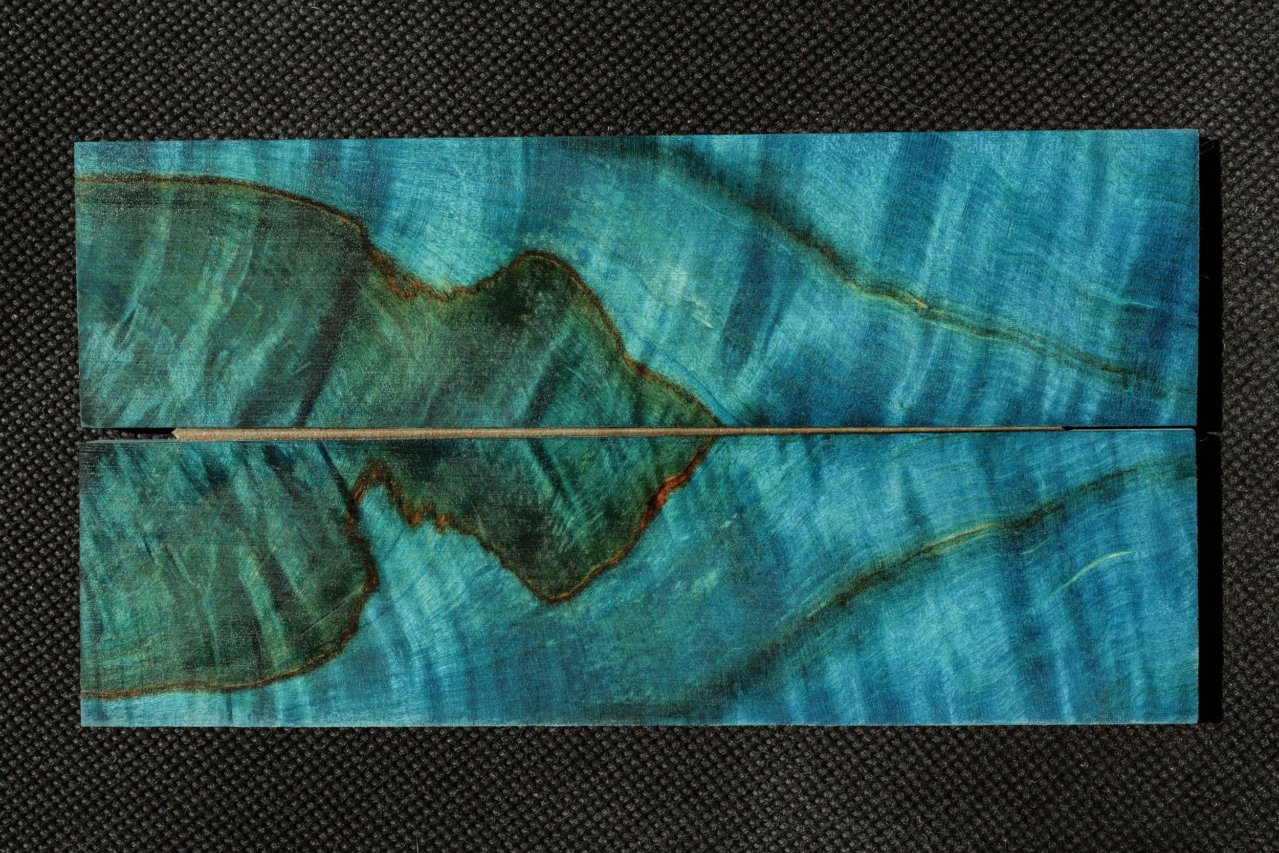 Marronnier échauffé stabilisé teinté