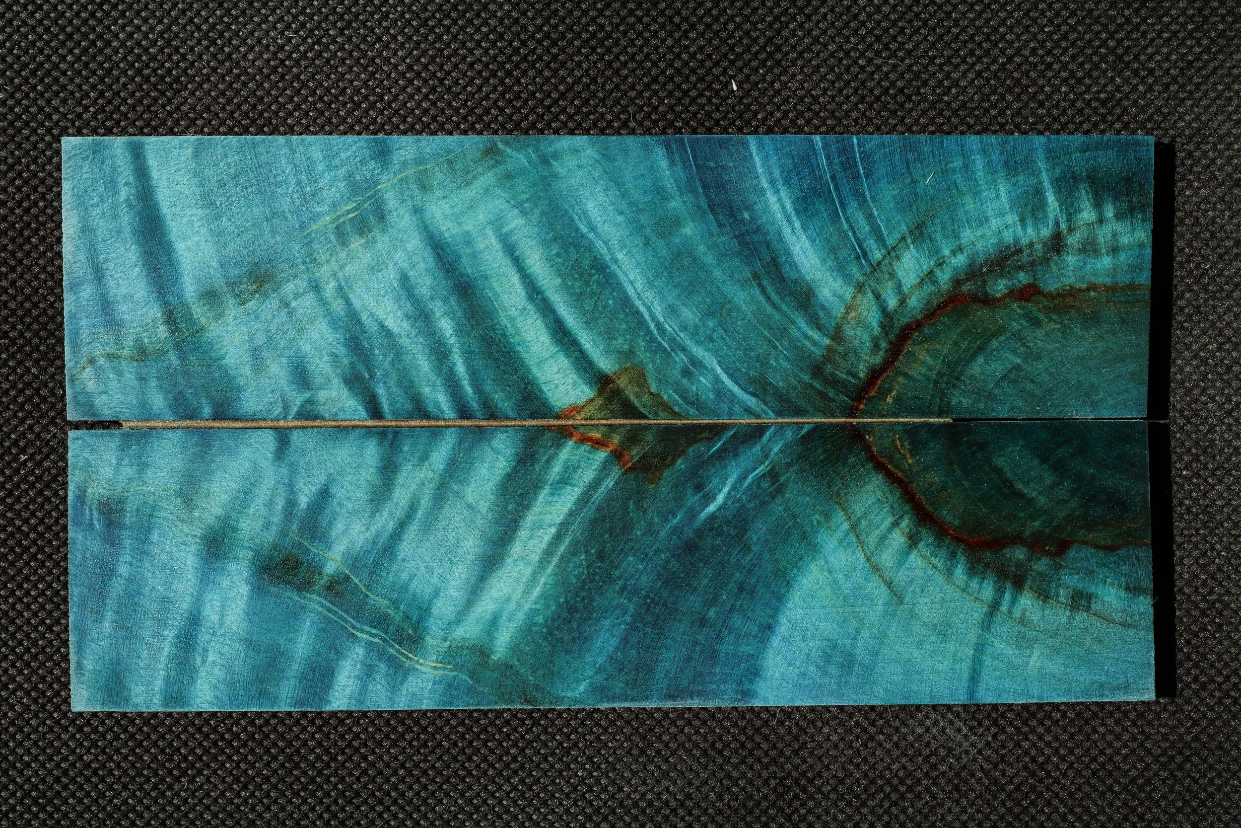 Marronnier échauffé stabilisé teinté