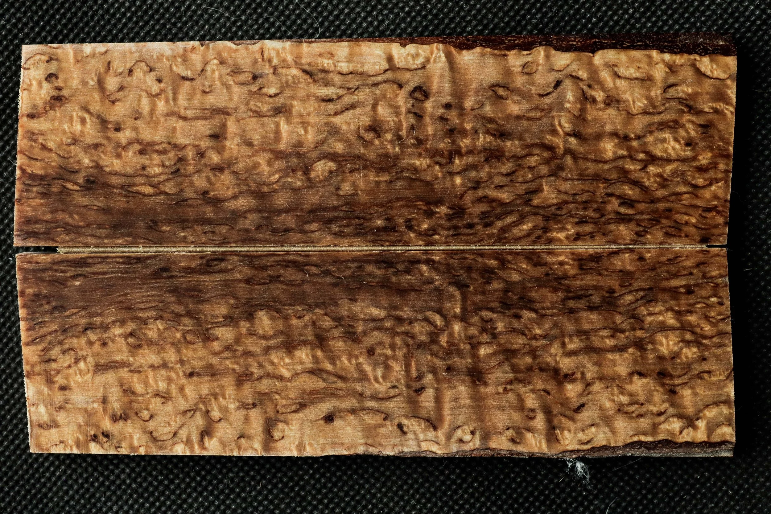 Bouleau Madré Stabilisé