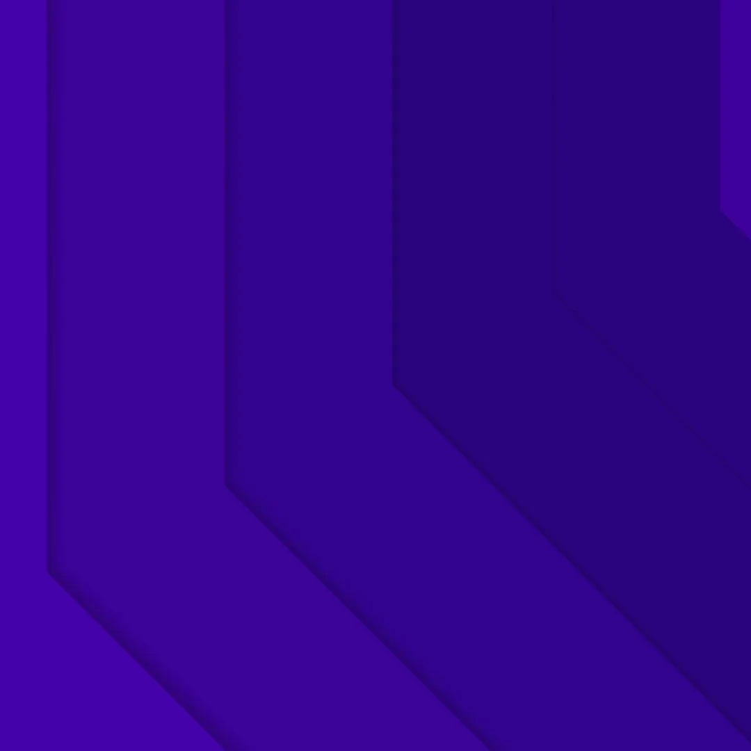  Art Director/Creator 