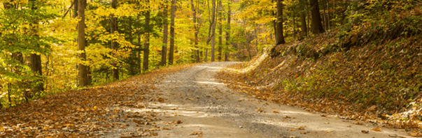An autumn walk through a winding country road as colored leaves fall.