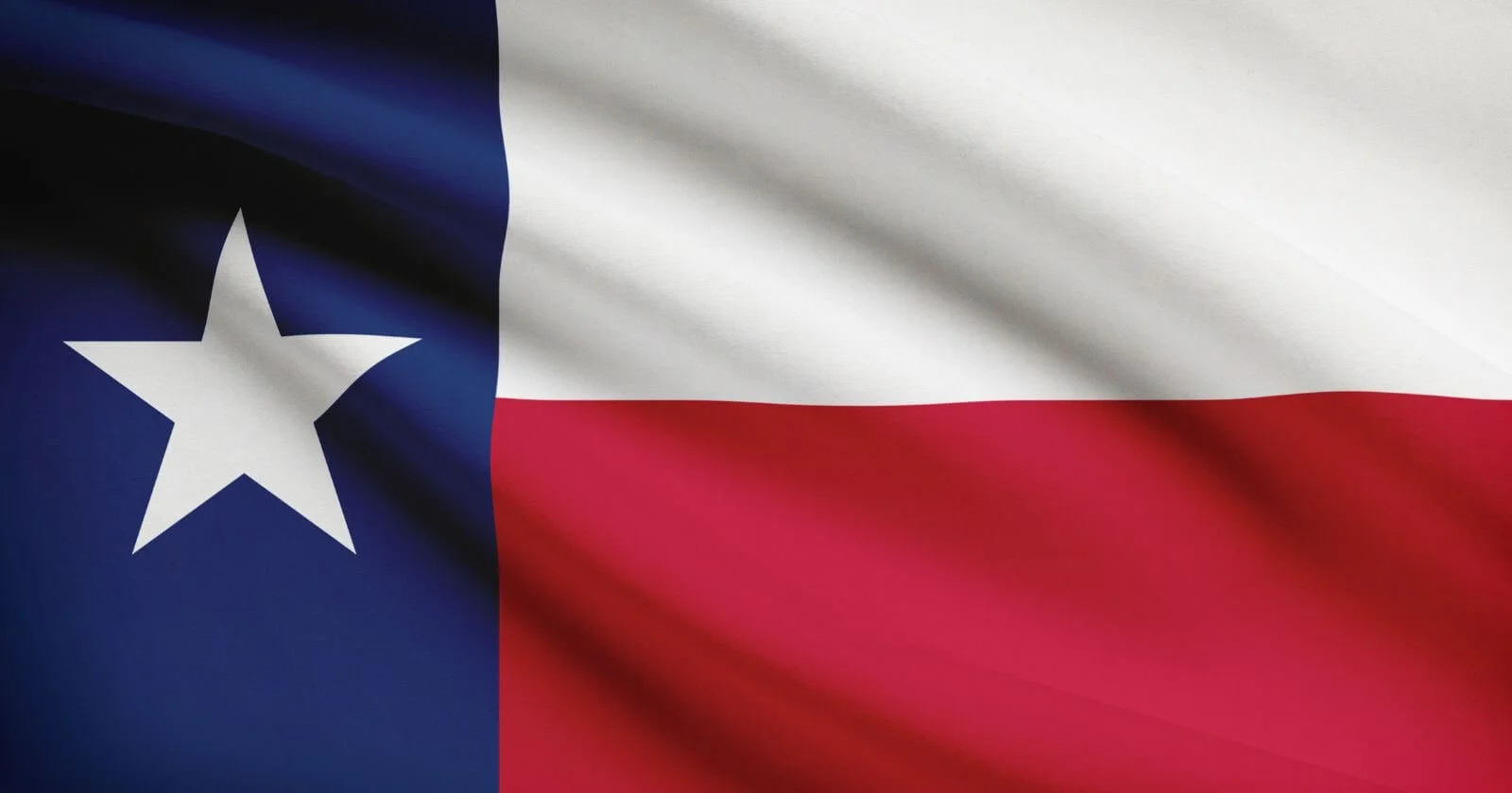 State flag of Texas with women business owners.