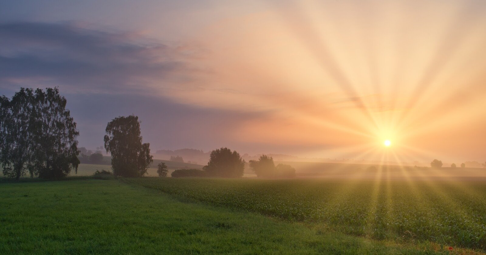 Renewing your daily focus with sunrise over trees and fields.