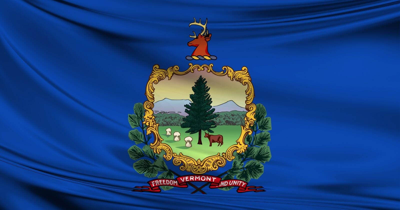 State flag of Vermont helping women start businesses.