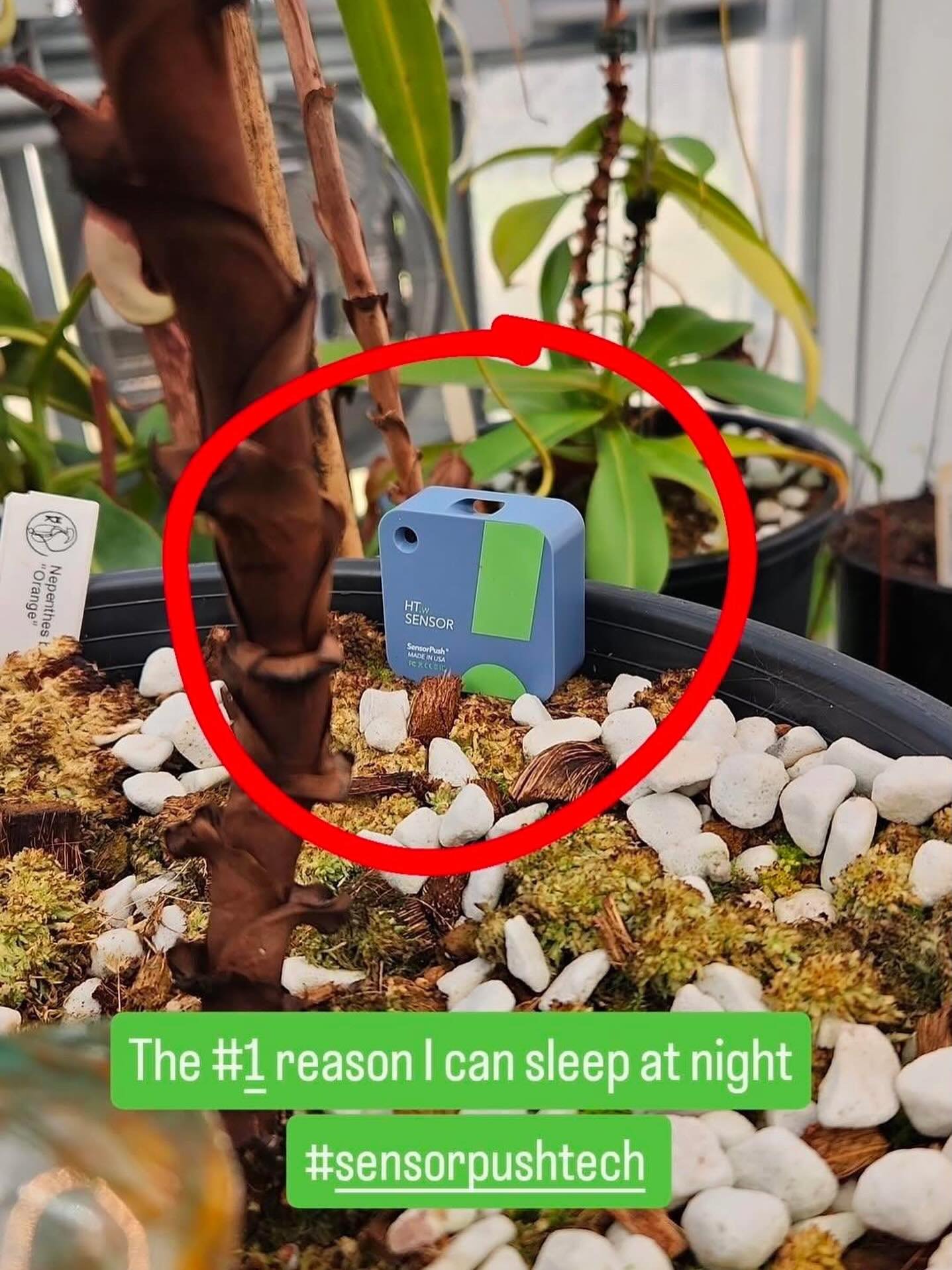 We are so grateful for all of our amazing SensorPush customers!  Huge thanks to @karns_carnivorous_plants for taking the time to comment and share this photo.  We appreciate you being a part of the SensorPush community.  Customer feedback and input t