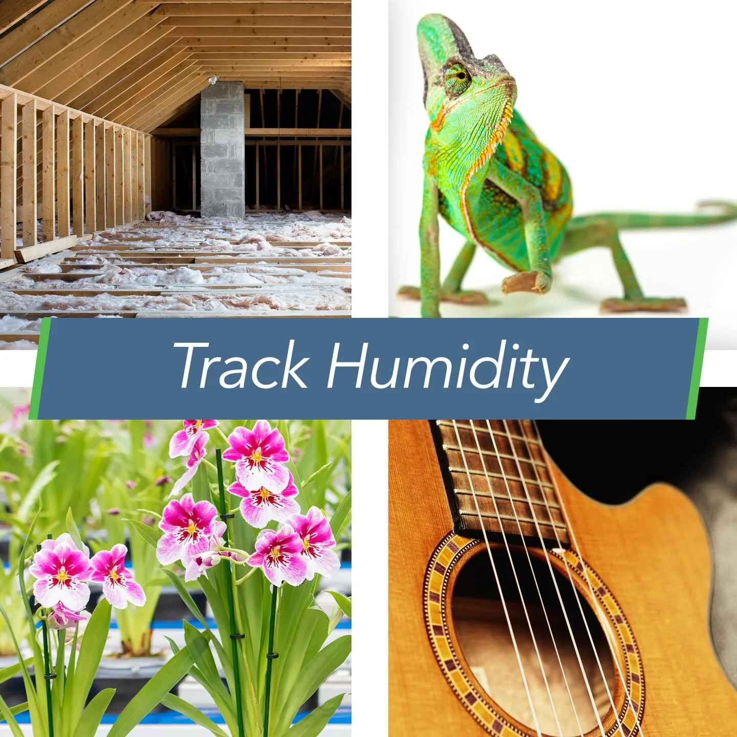 📢 BLACK FRIDAY EXCLUSIVE:  Get 20% off of your total purchase of any combination of SensorPush wireless smart sensors and Gateways this year on Amazon.com!
📢
Bundle and save on SensorPush with our extended weekend sale on Amazon:
US:&nbsp;https://b