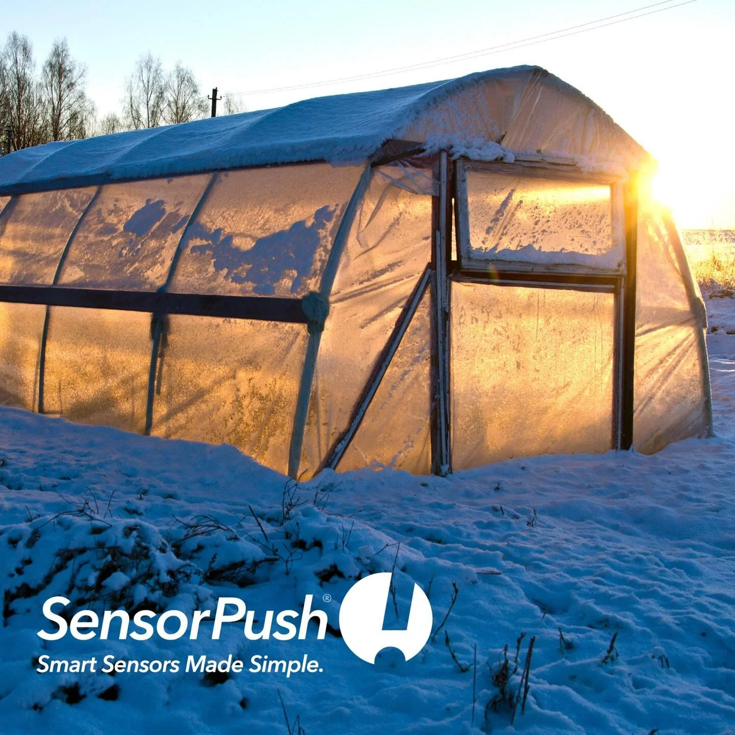 Greenhouses in winter work by trapping solar heat, but require insulation and supplementary heating to stay warm enough for plants, ideally above freezing.  Good preparation for winter weather can involve sealing drafts and using grow lights &mdash; 