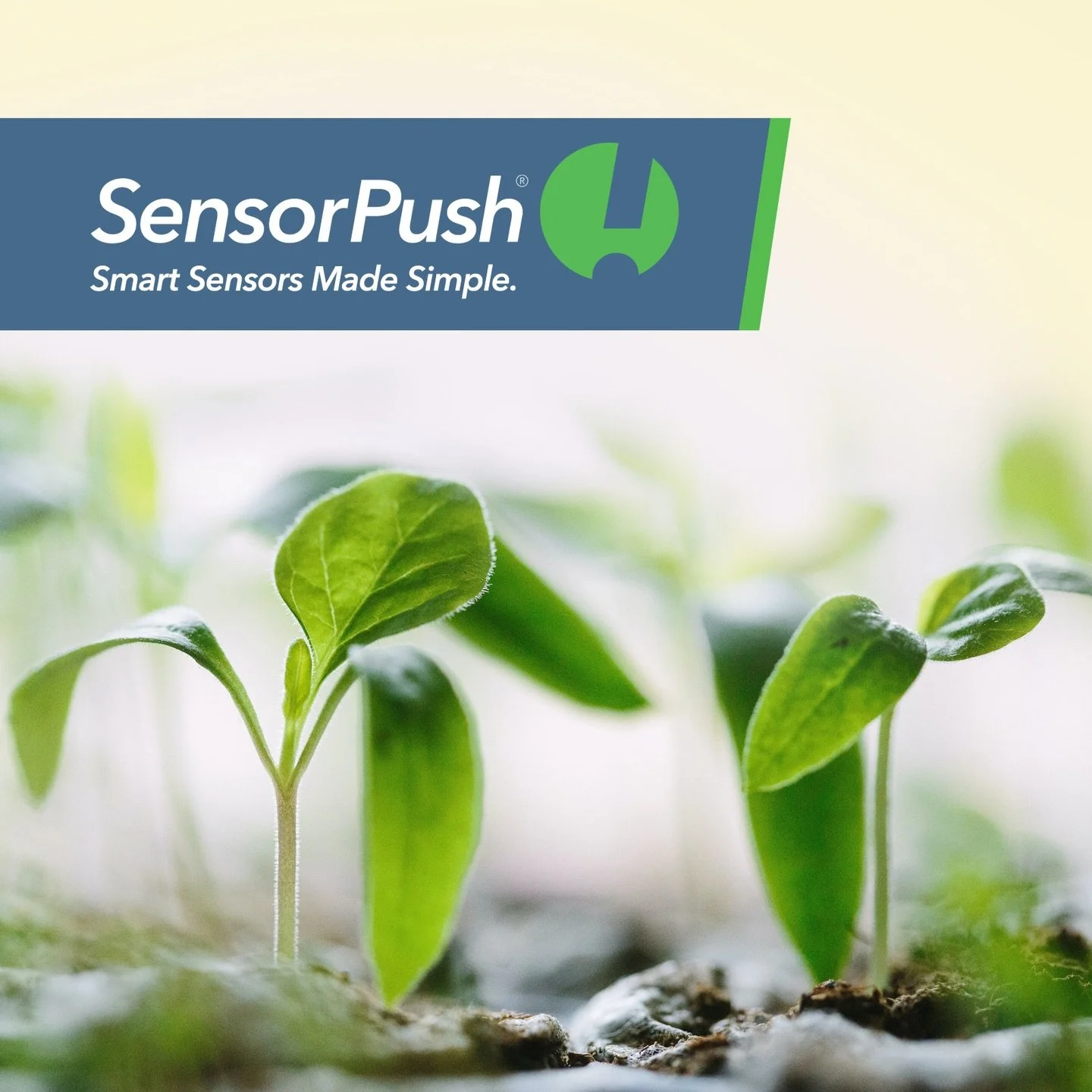 Friendly reminder for spring planting season:  SensorPush Water-Resistant Temperature / Humidity Smart Sensors pair effortlessly with our mobile&nbsp;apps&nbsp;and the optional&nbsp;SensorPush G1 WiFi Gateway&nbsp;to provide a premium solution for mo