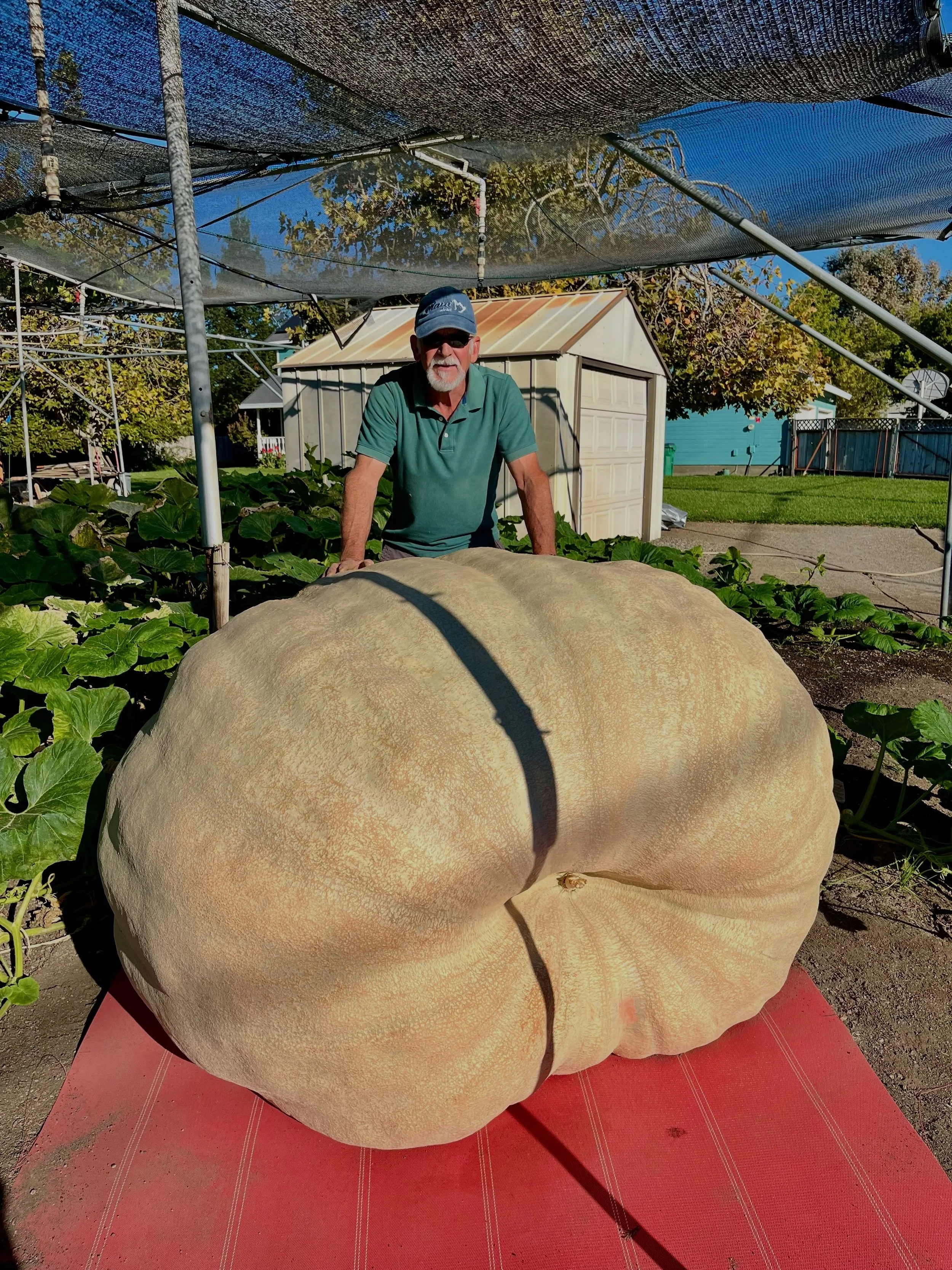 Monitoring temperature and humidity is critical for successful pumpkin cultivation.
🎃
SensorPush wireless smart sensors pair effortlessly with our mobile&nbsp;apps&nbsp;and the optional&nbsp;SensorPush G1 WiFi Gateway&nbsp;to provide a premium solut