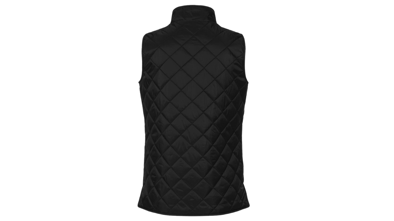 vest (2).png