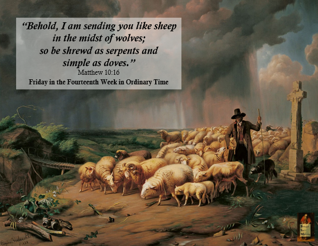 Sheep Among Wolves — Beloved Son Ministry