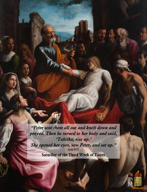 Peace Amidst Persecution
