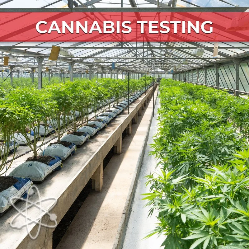 Cannabis_Testing-Image-800x800.jpg