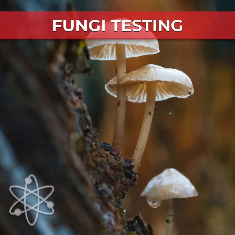 Fungi_Testing-800x800.jpg
