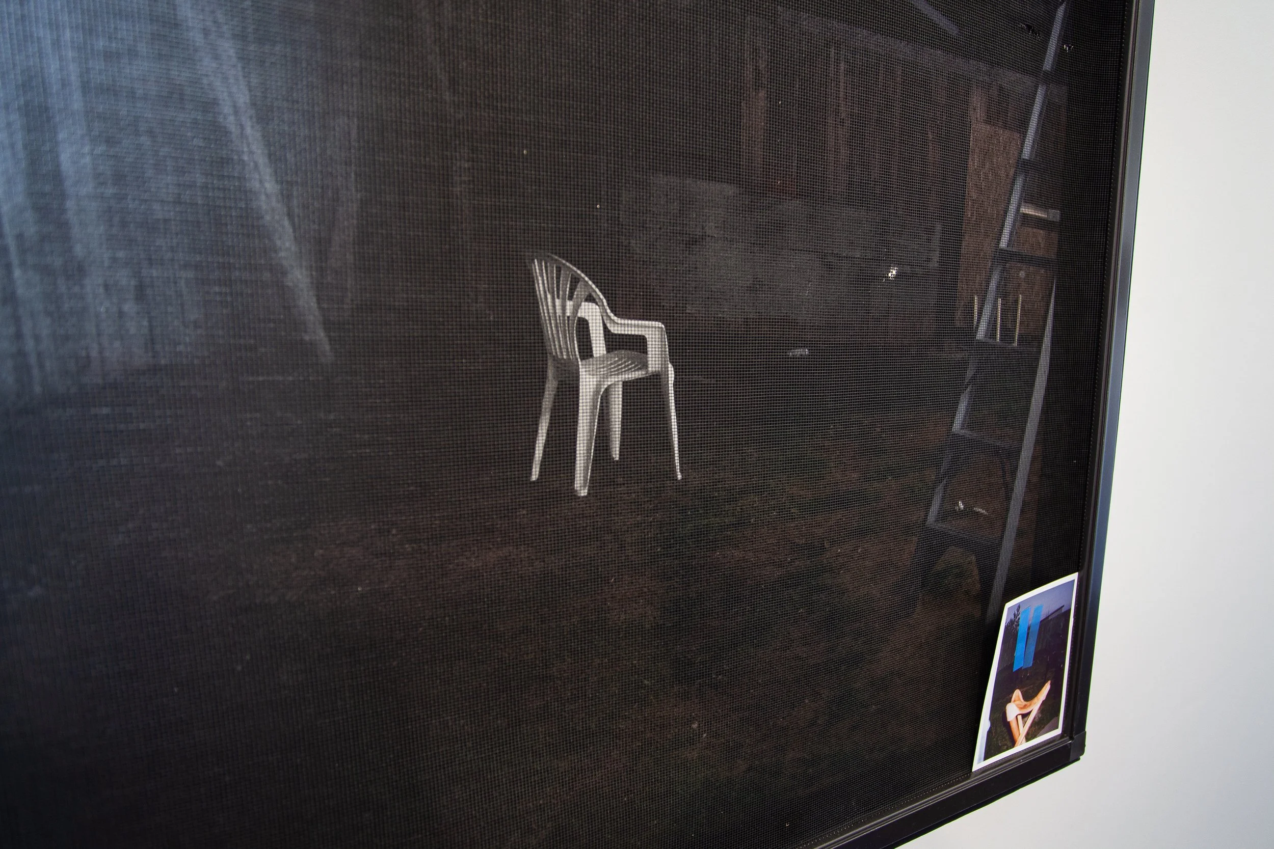 Se Te Ven Tus Hojos Tristes: Robert Nuñez Photography, window screen: 28x36 & 4x5: 2023