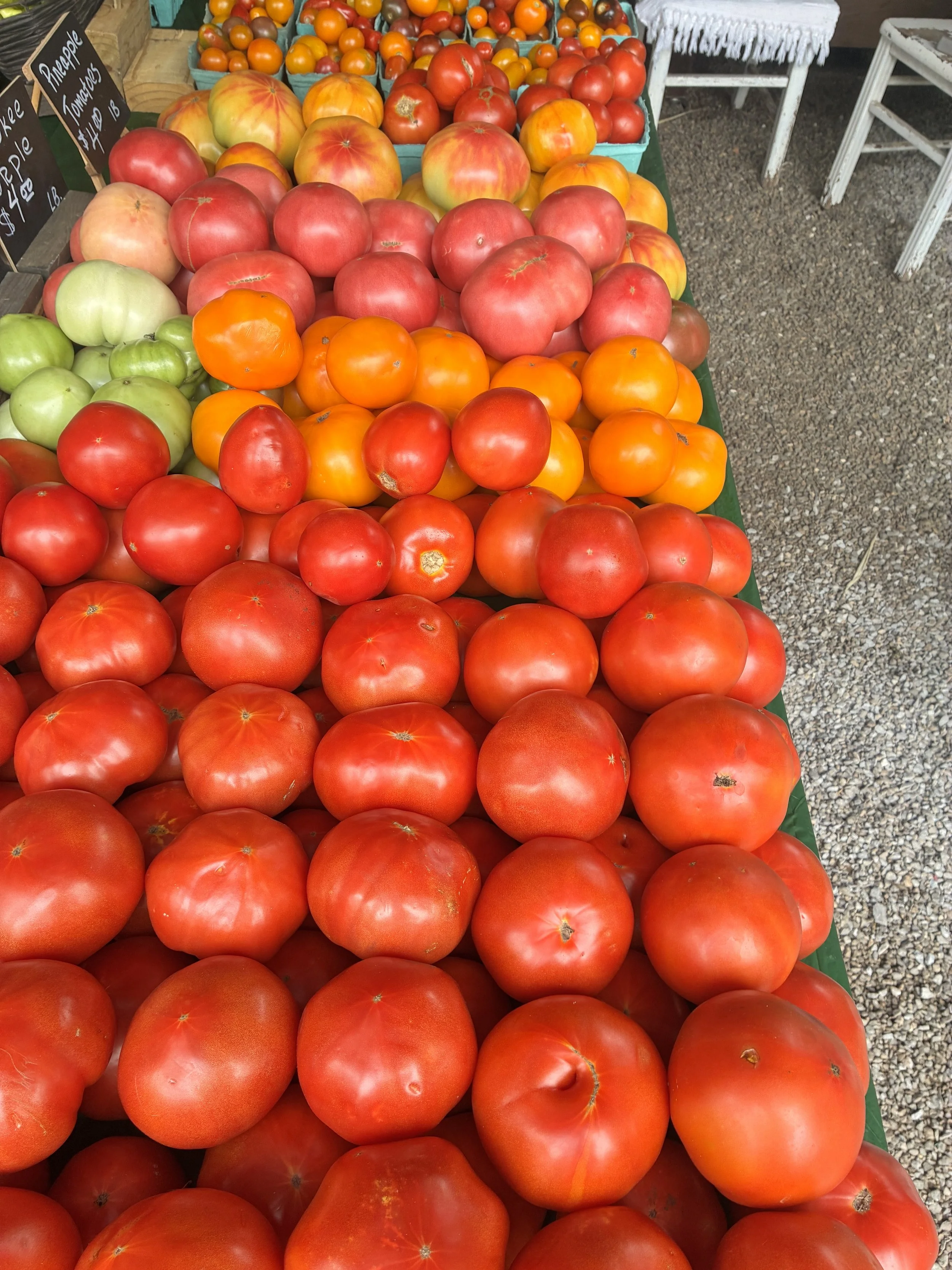 EBF_celeb tom_prod bottom.jpeg