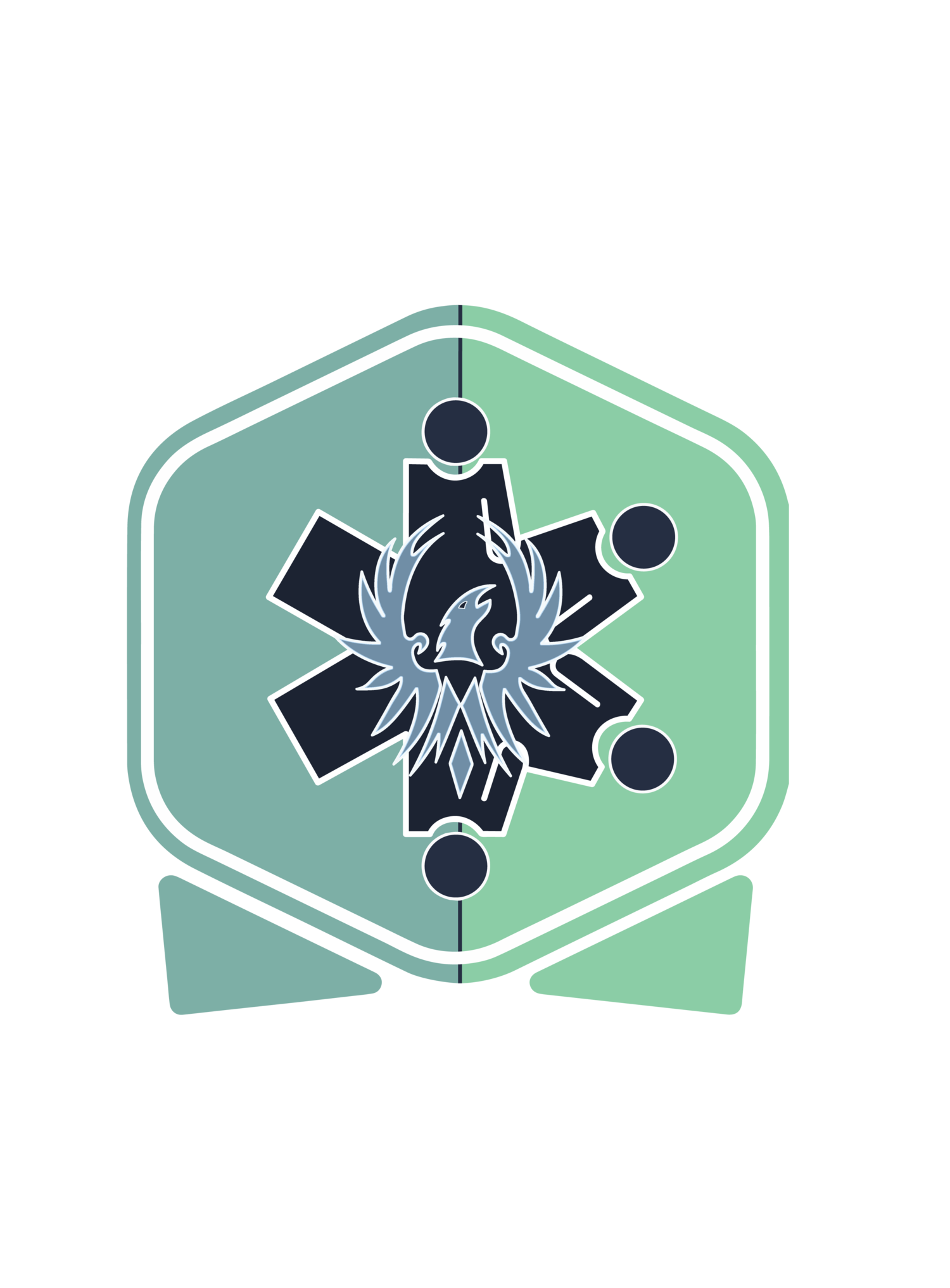 Phoenix Recovery Solutions QRT