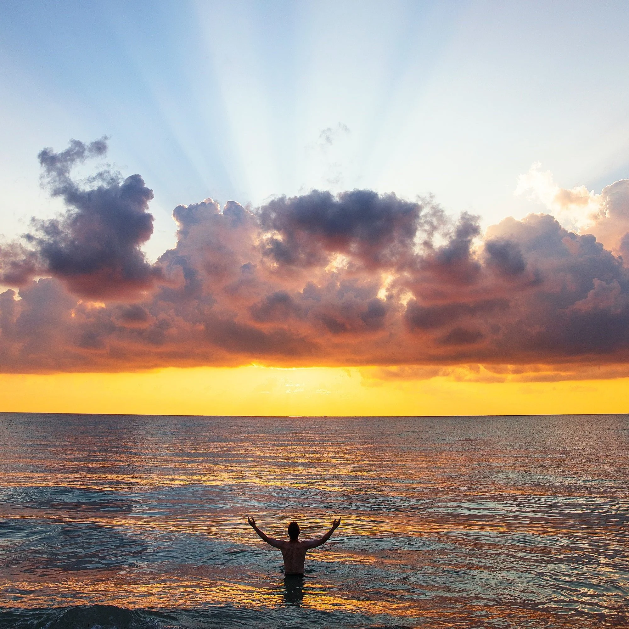 We are so excited to share this with you!