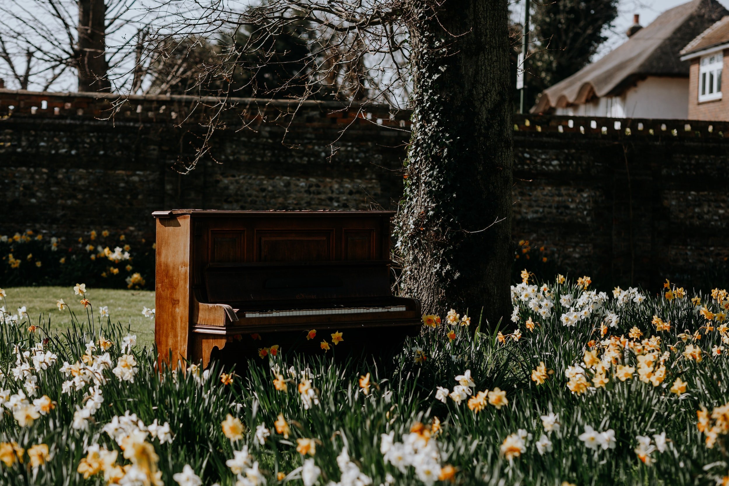 Welcome the Season of Renewal!