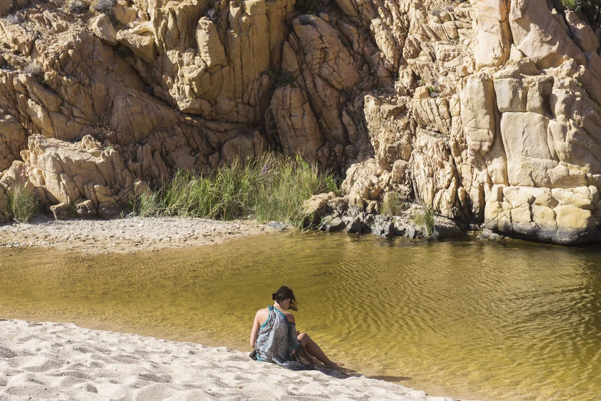 DSC_1171.jpg