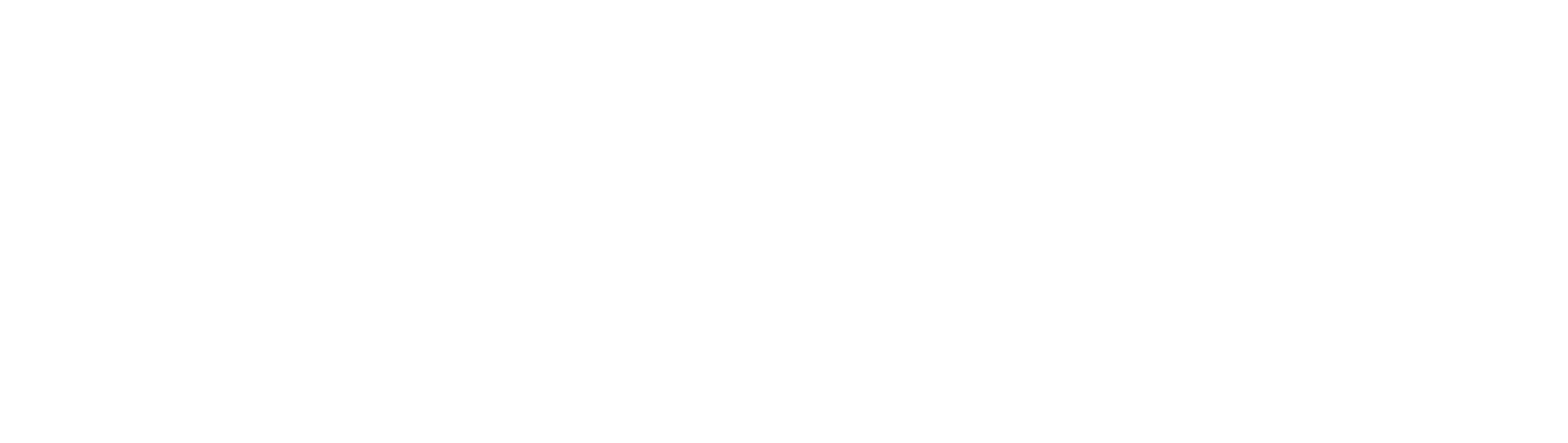 Wicked Problem Solving