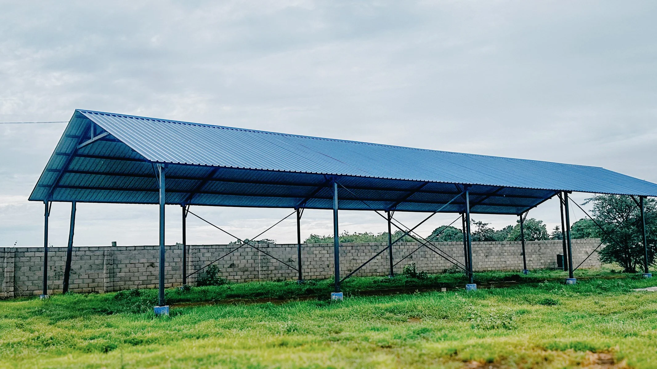 Zambia_Priority One-8.jpg