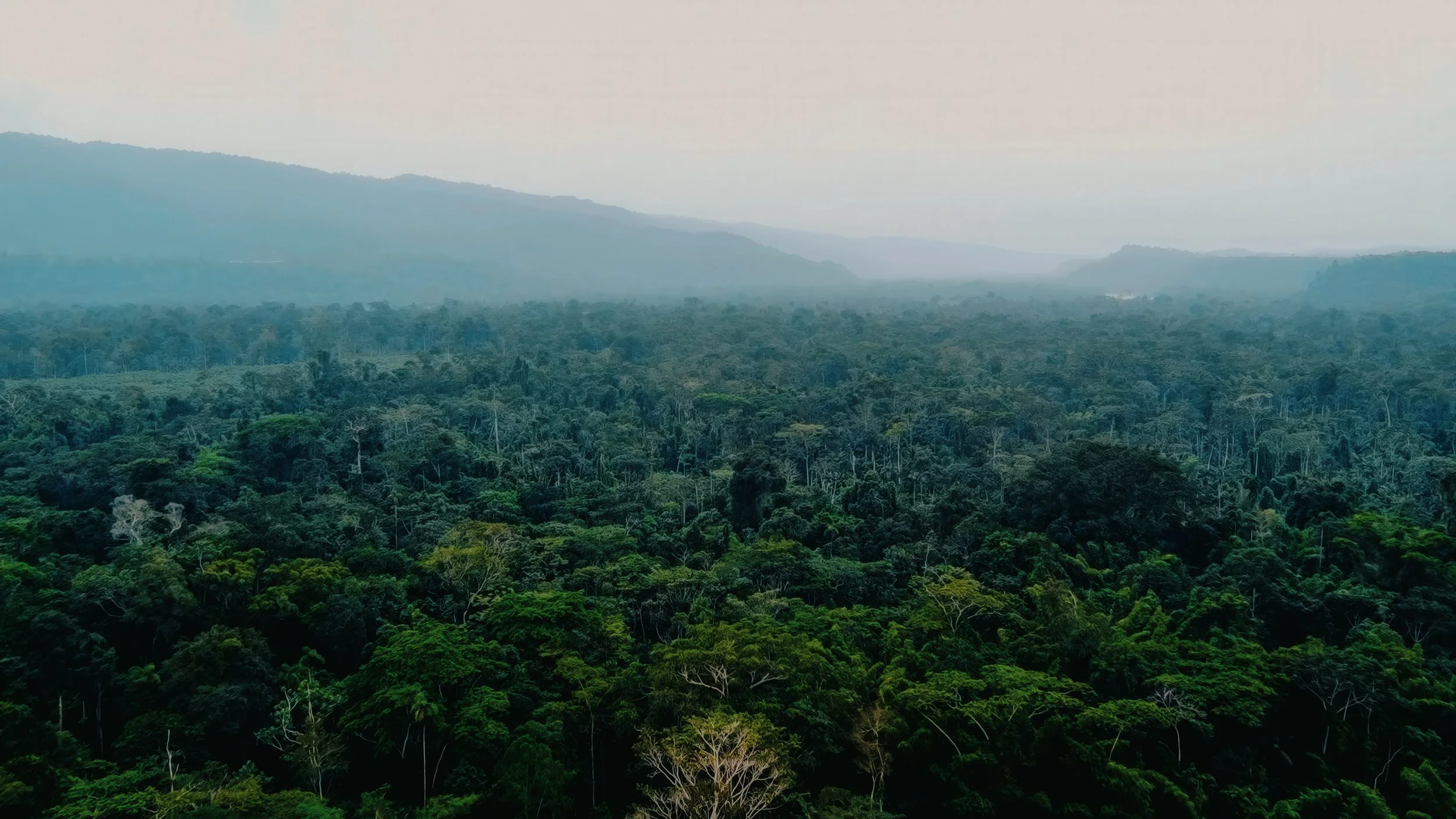 PriorityOne_Ecuador_JungleBibleSchool-13.jpg