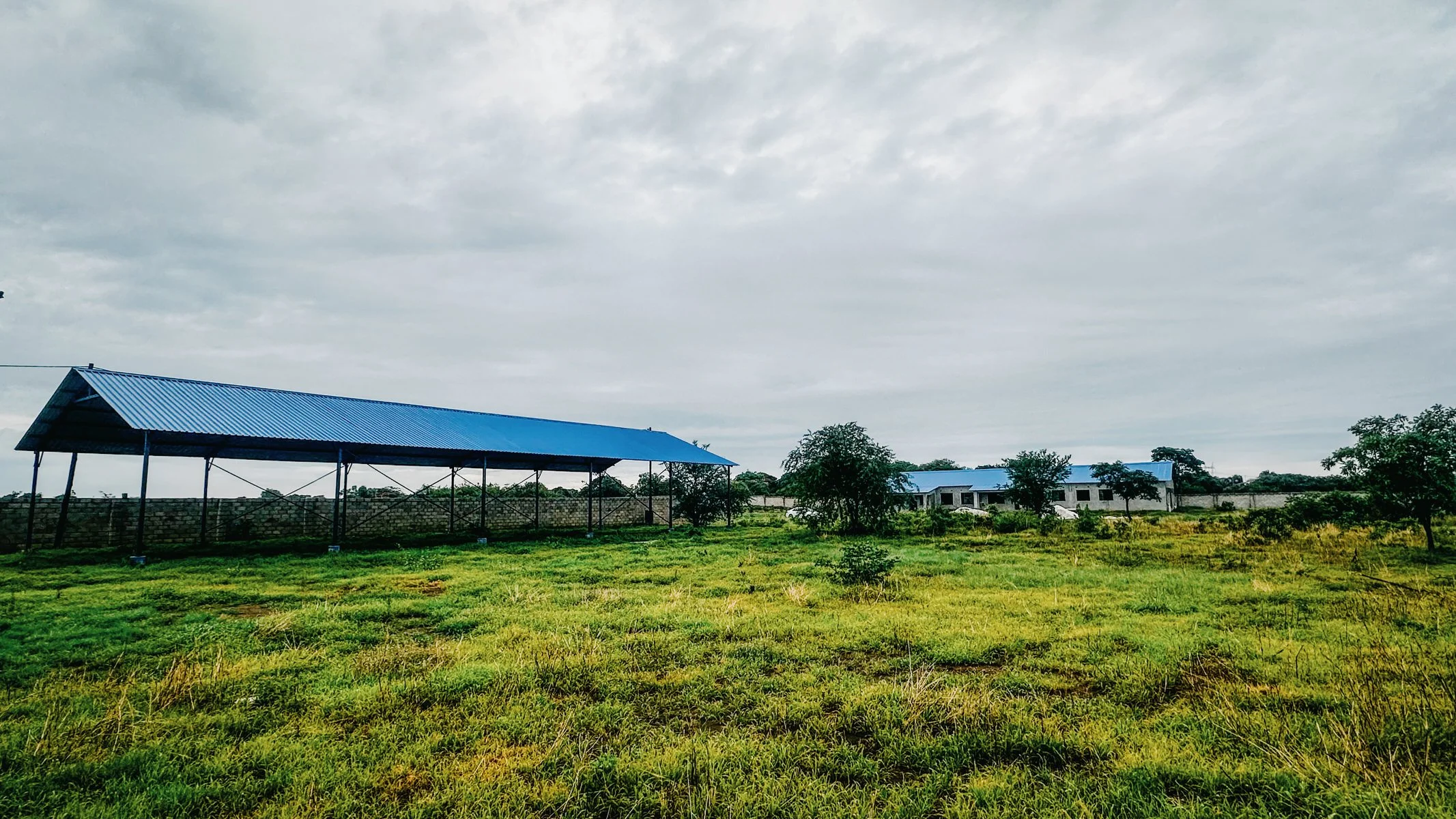 Zambia_Priority One-6.jpg