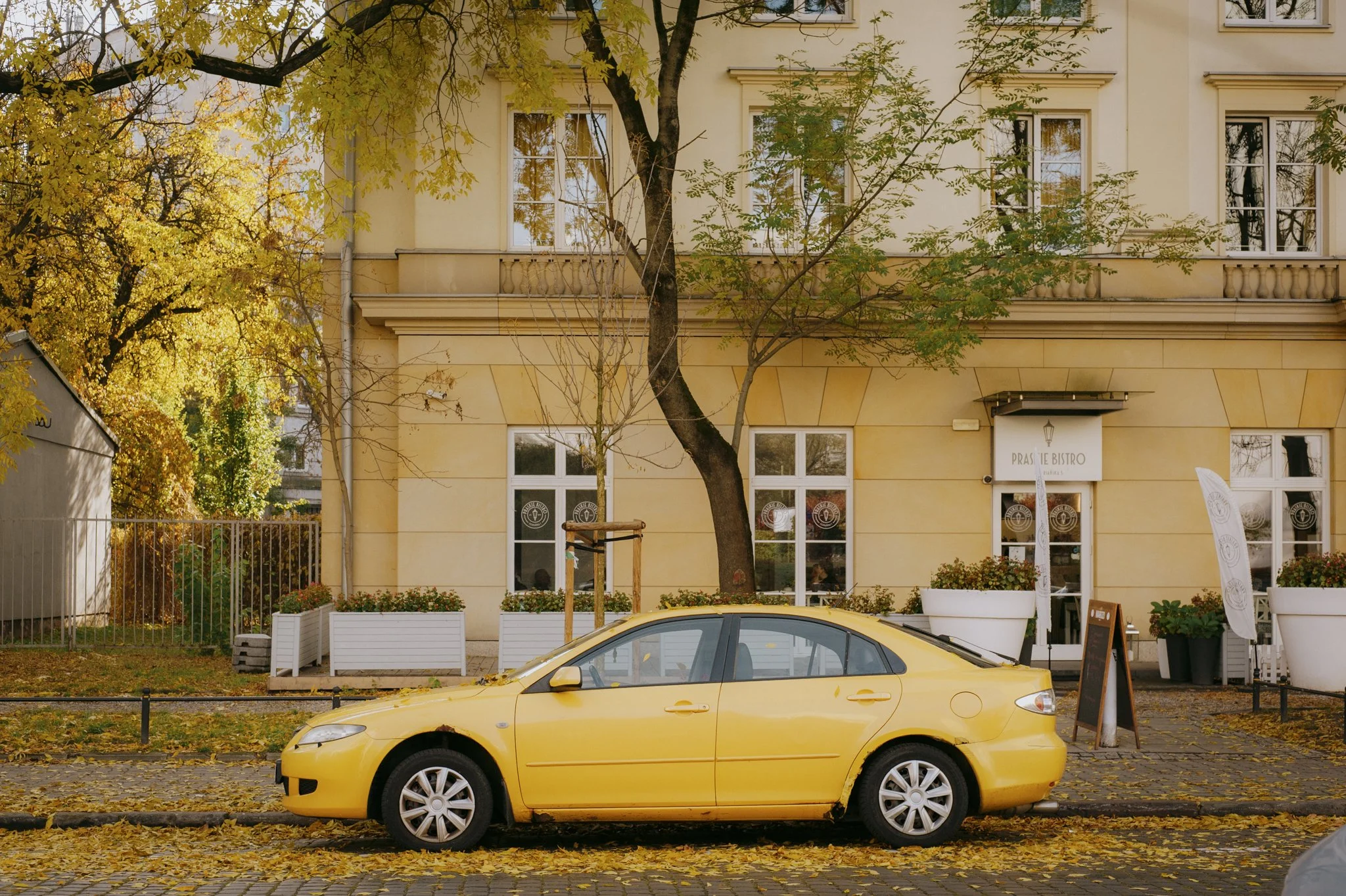 D70_3210.jpg
