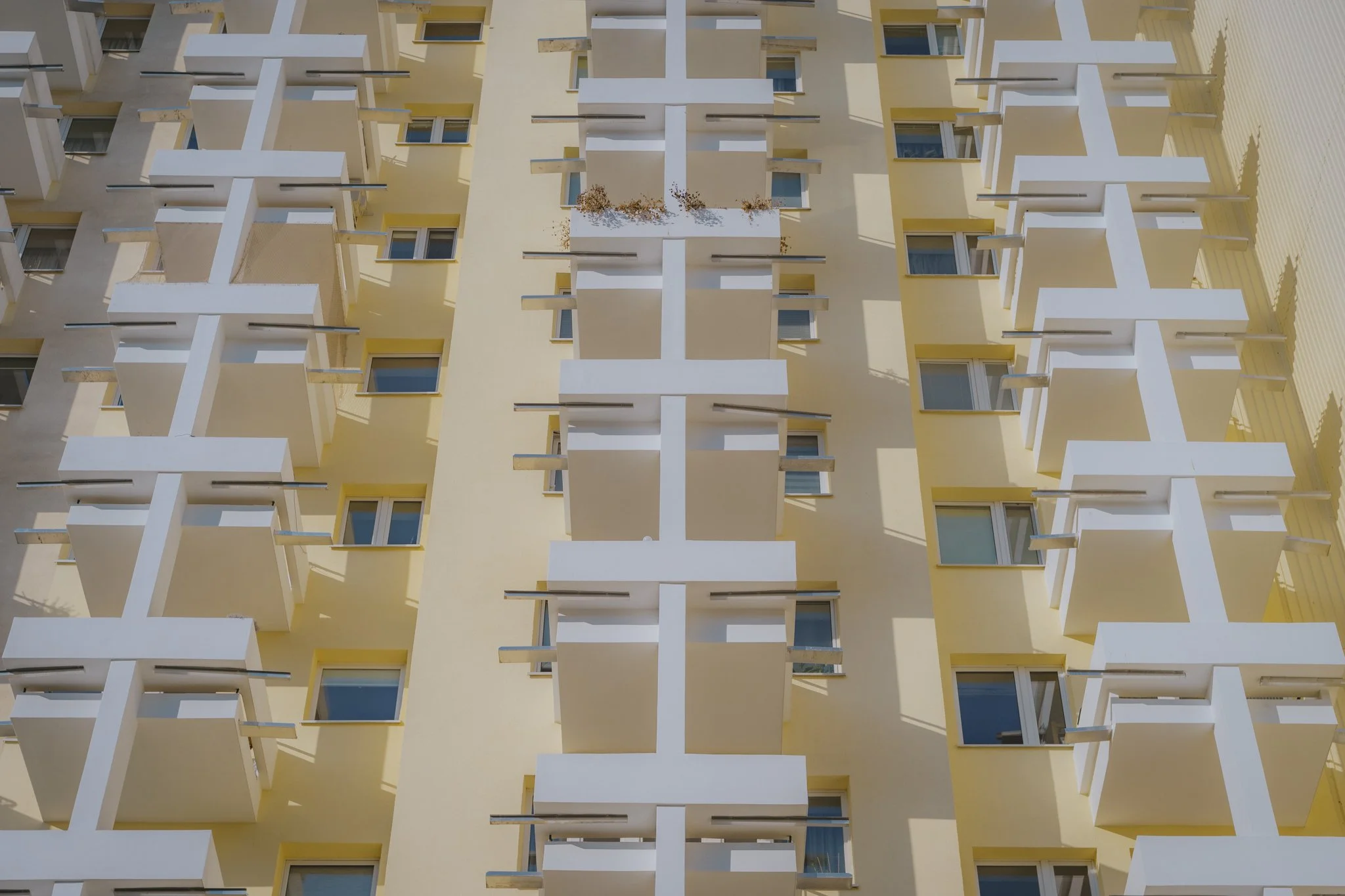 Z63_0061.jpg