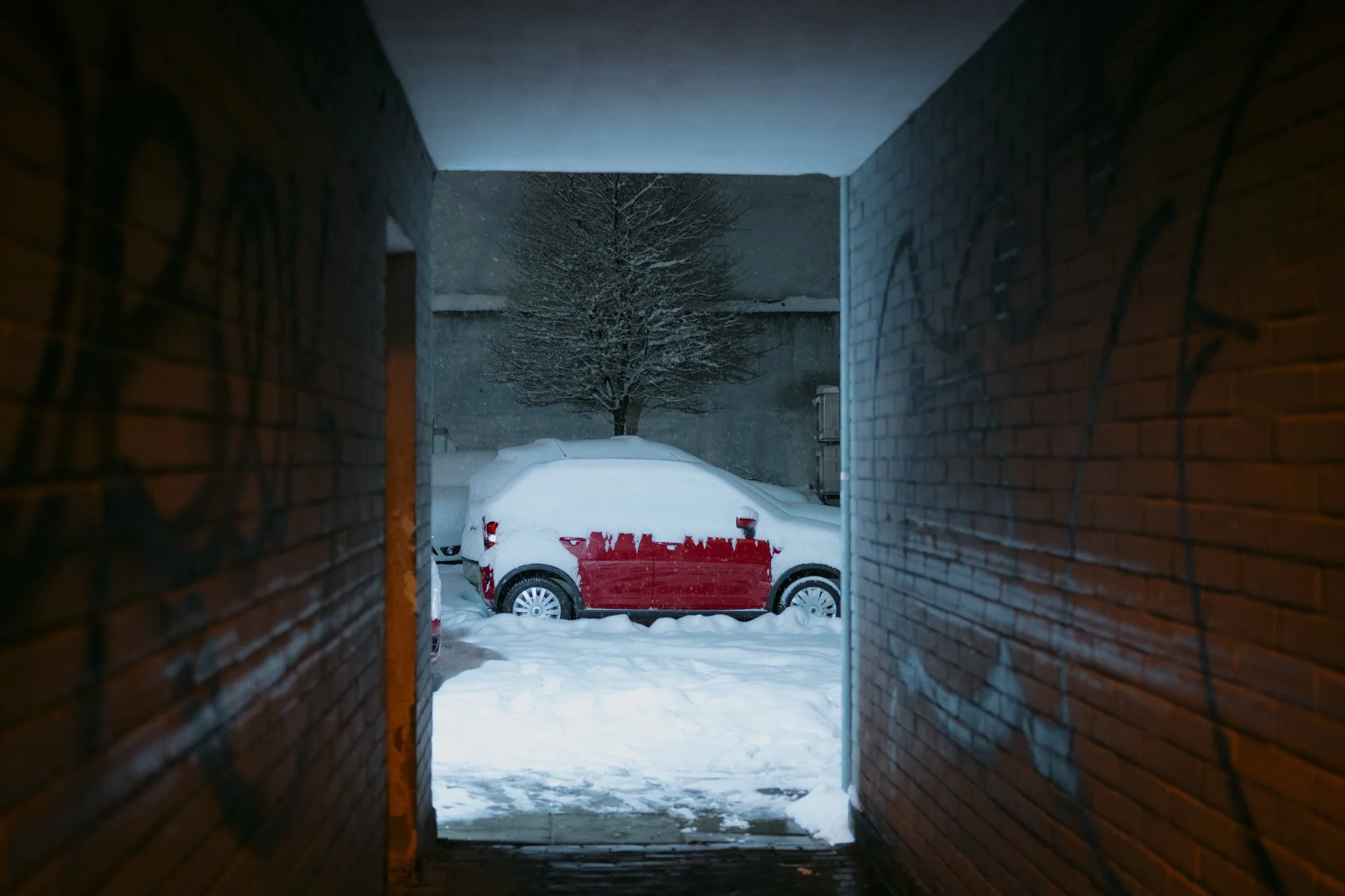 Z63_0648.jpg