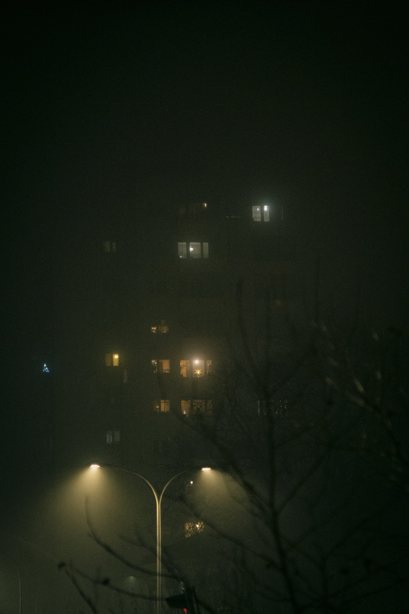 Z63_0218.jpg