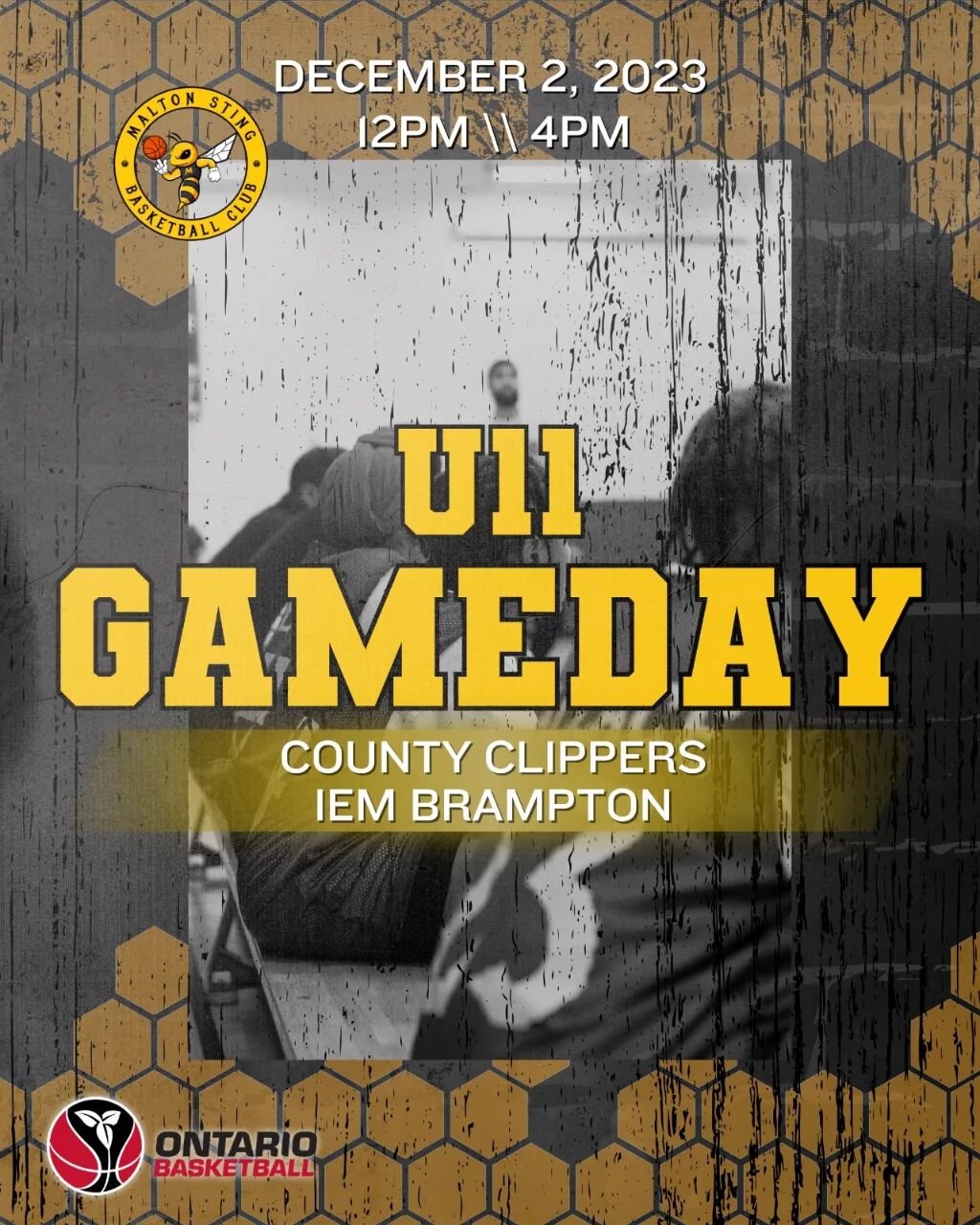 Gameday for the U11s 🐝🏀