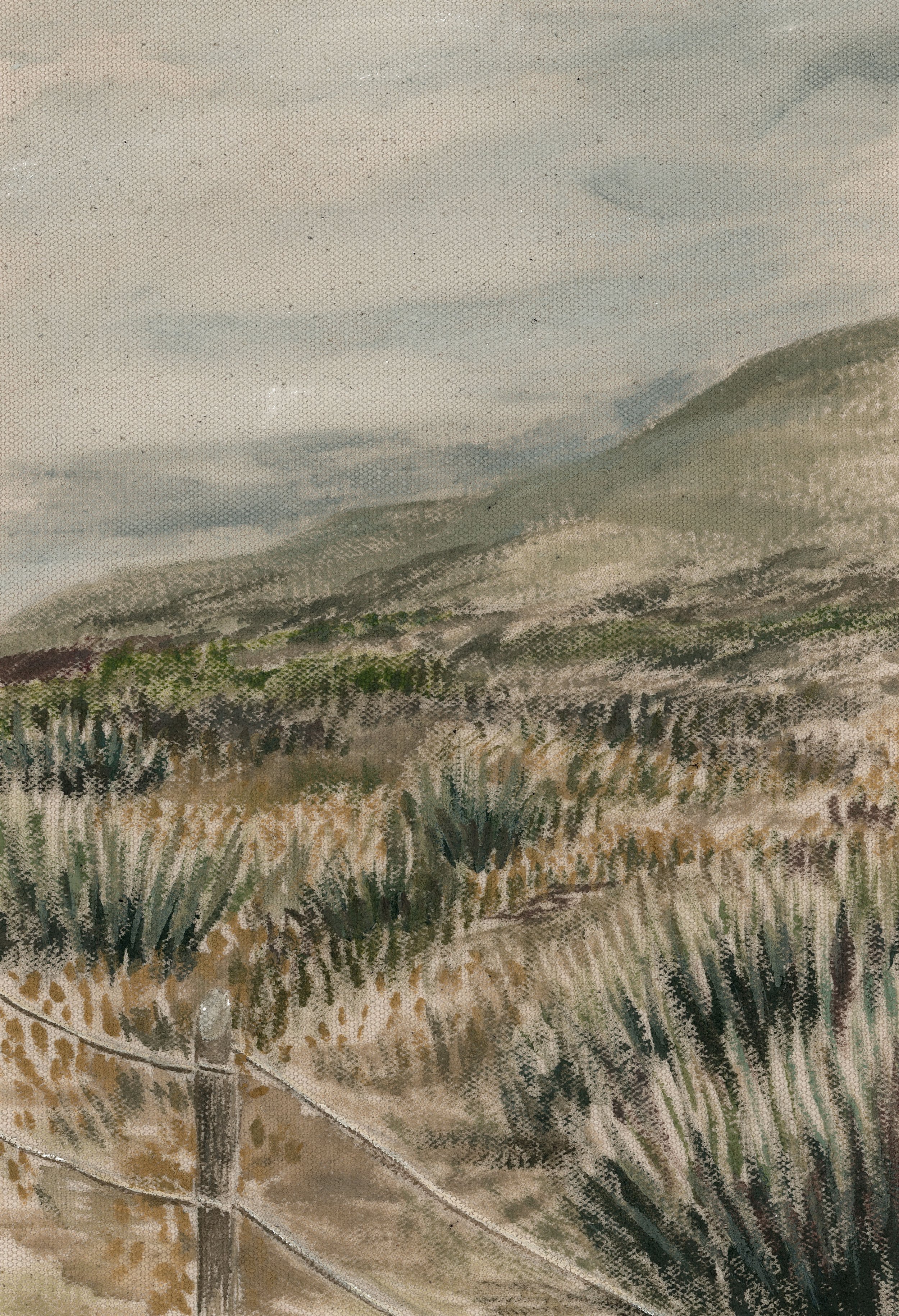41-100-detail.jpg