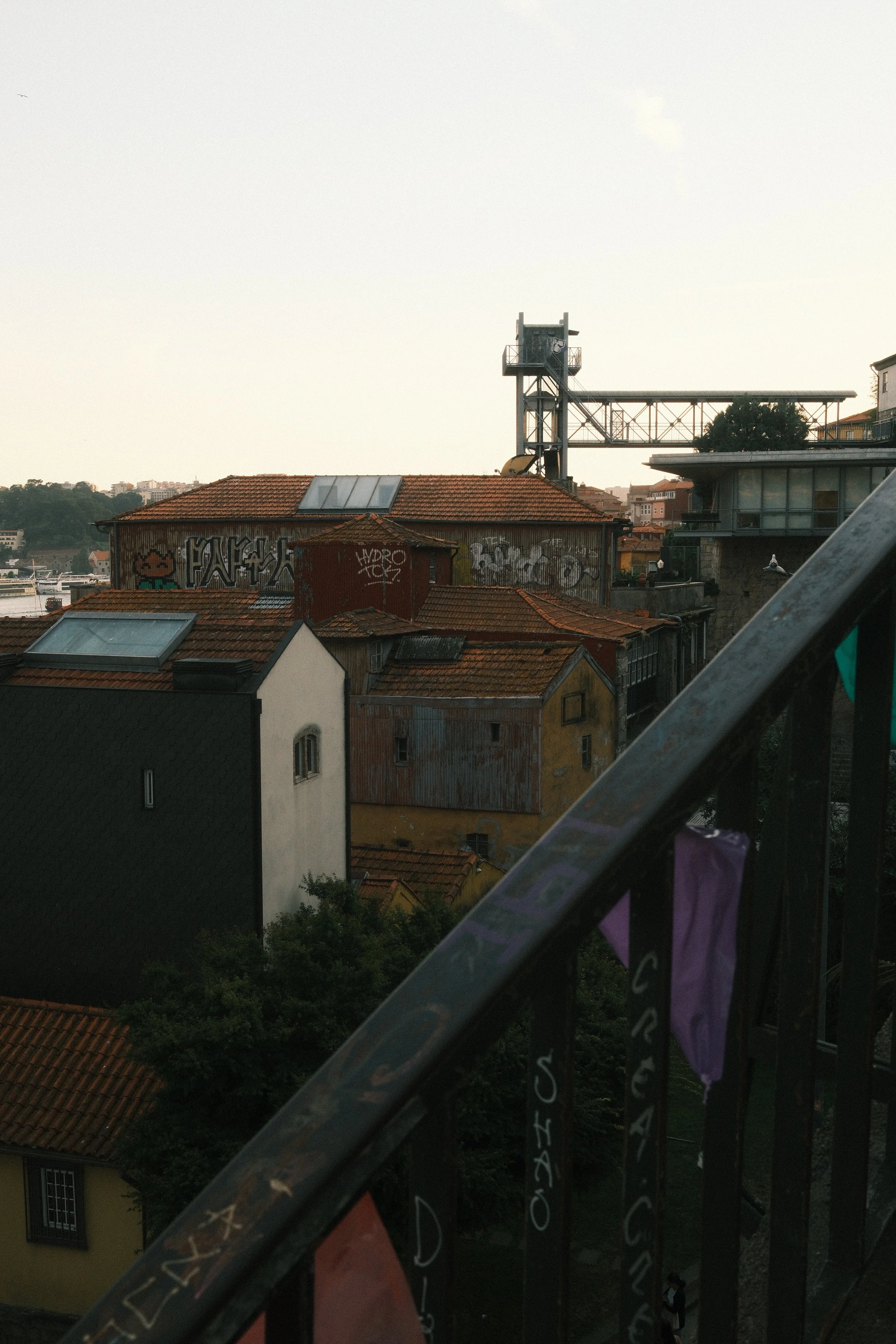 DSCF2865.JPG