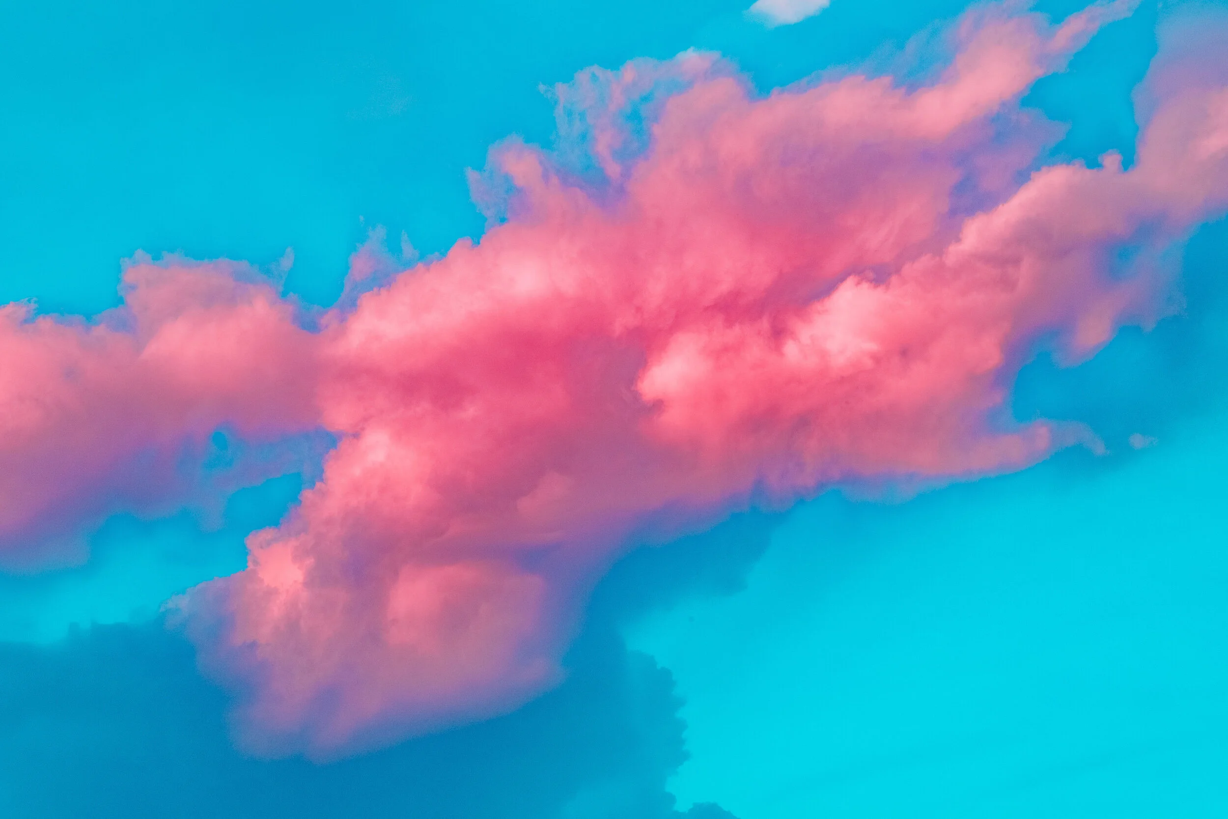 "The Pink Cloud"