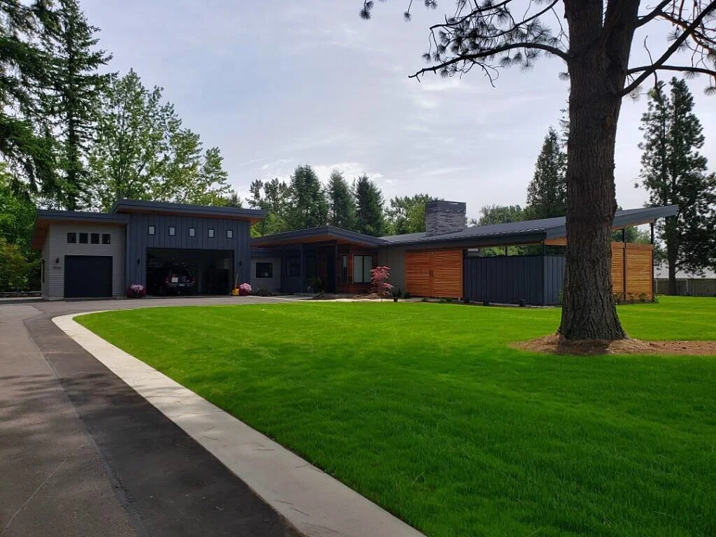 Early grass growth emerging from hydroseed application