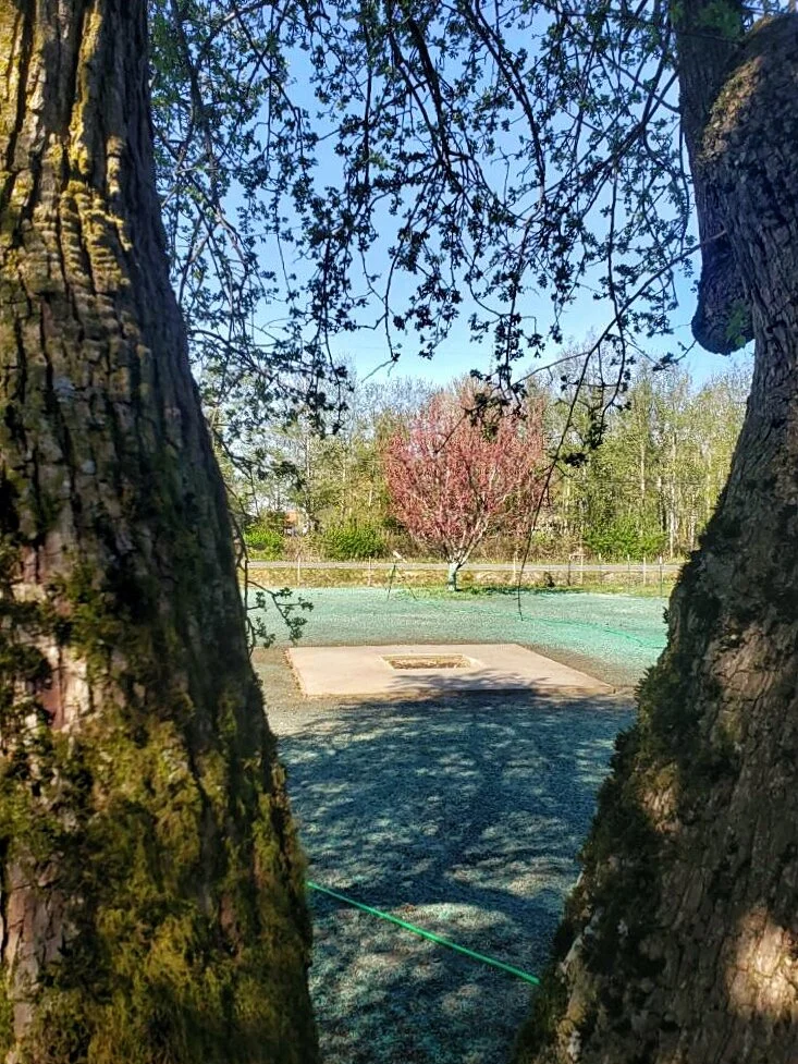 JPEG image-39D1C9F342F2-1.jpeg