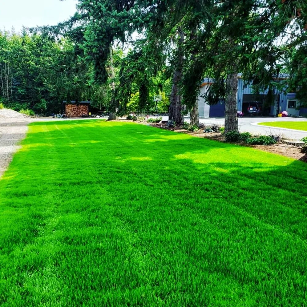 JPEG image-8AFD8351D42A-1.jpeg