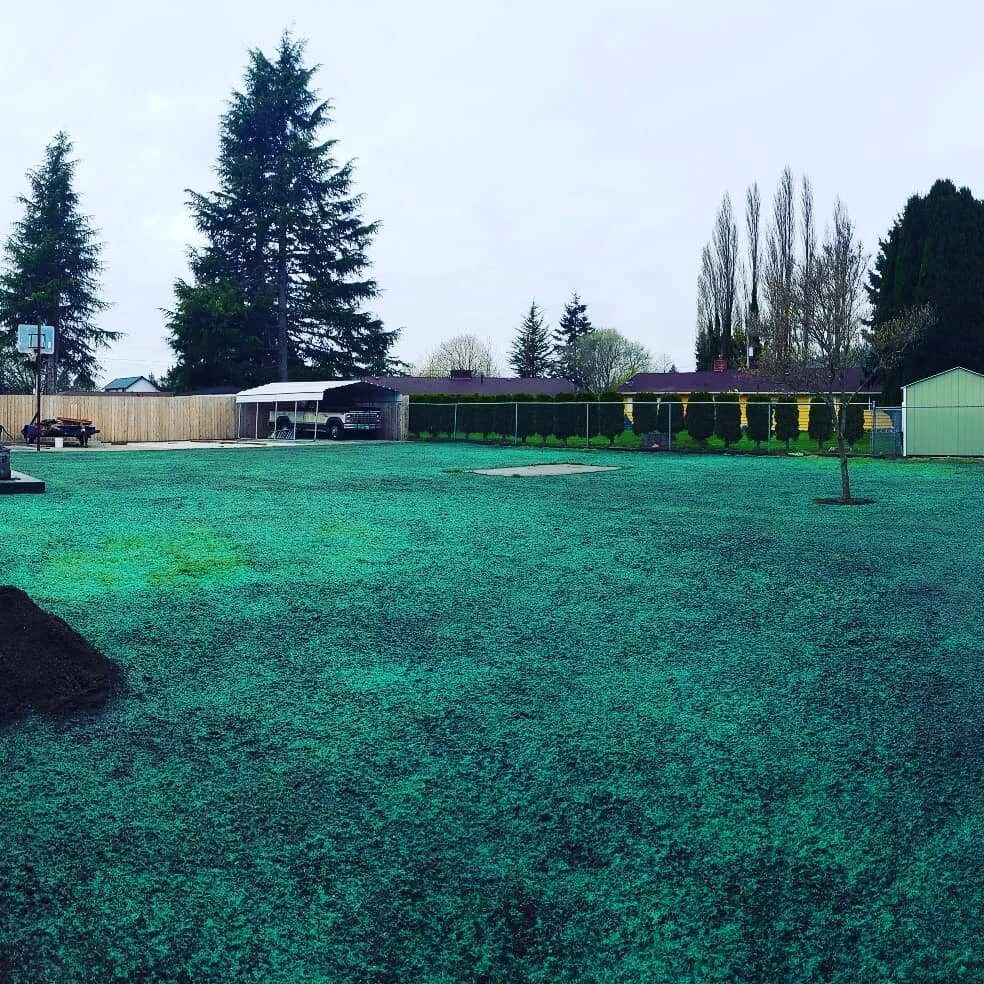 JPEG image-8C6B424052F2-1.jpeg