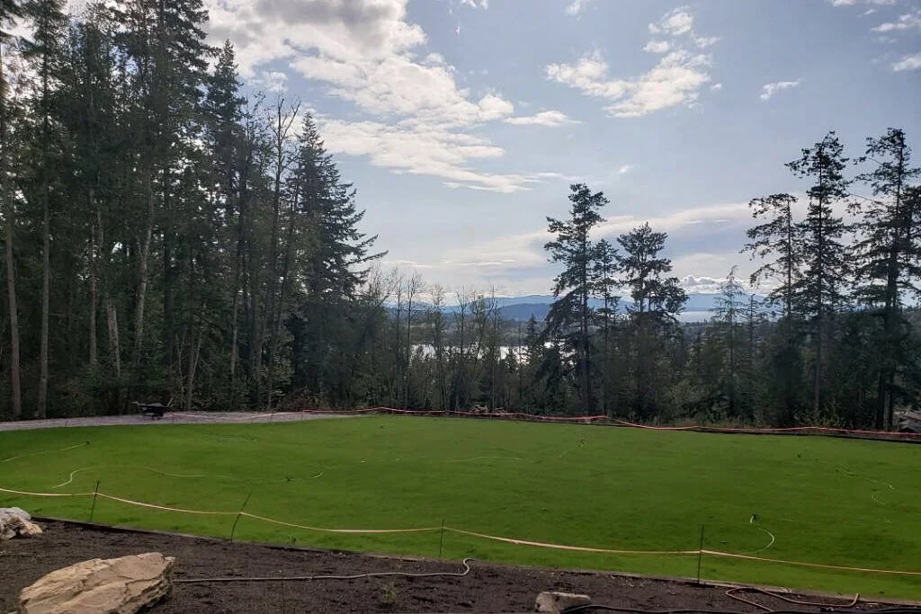 JPEG image-B10DE1AB0318-1.jpeg