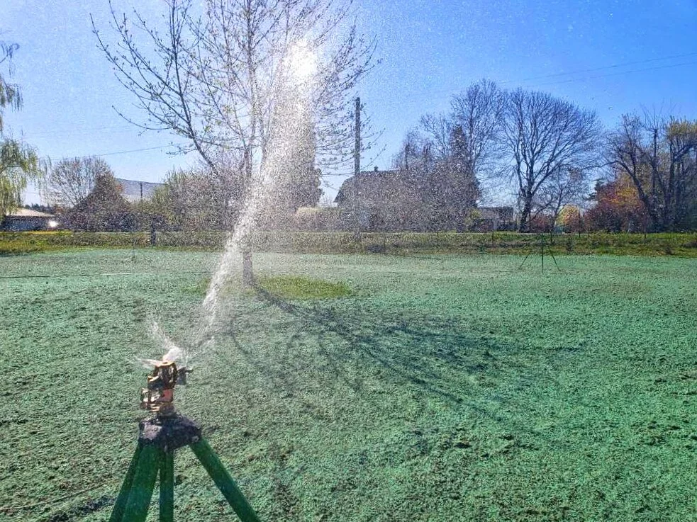 JPEG image-0EDE99435097-1.jpeg