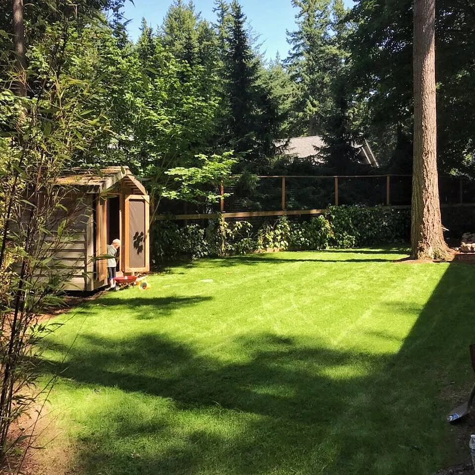 JPEG image-8EE86262587E-1.jpeg