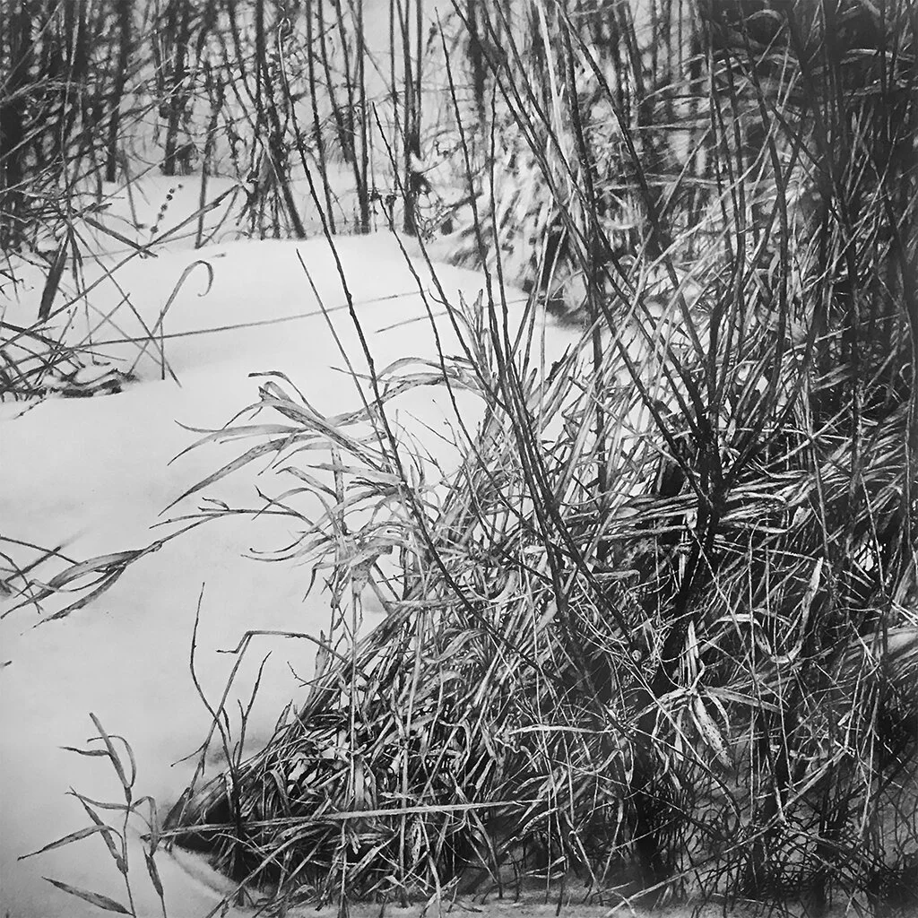"Snow Currents II" - Armin Mersmann