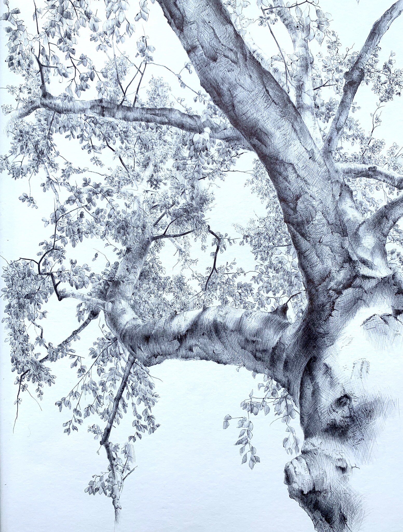 "April" - Dina Brodsky