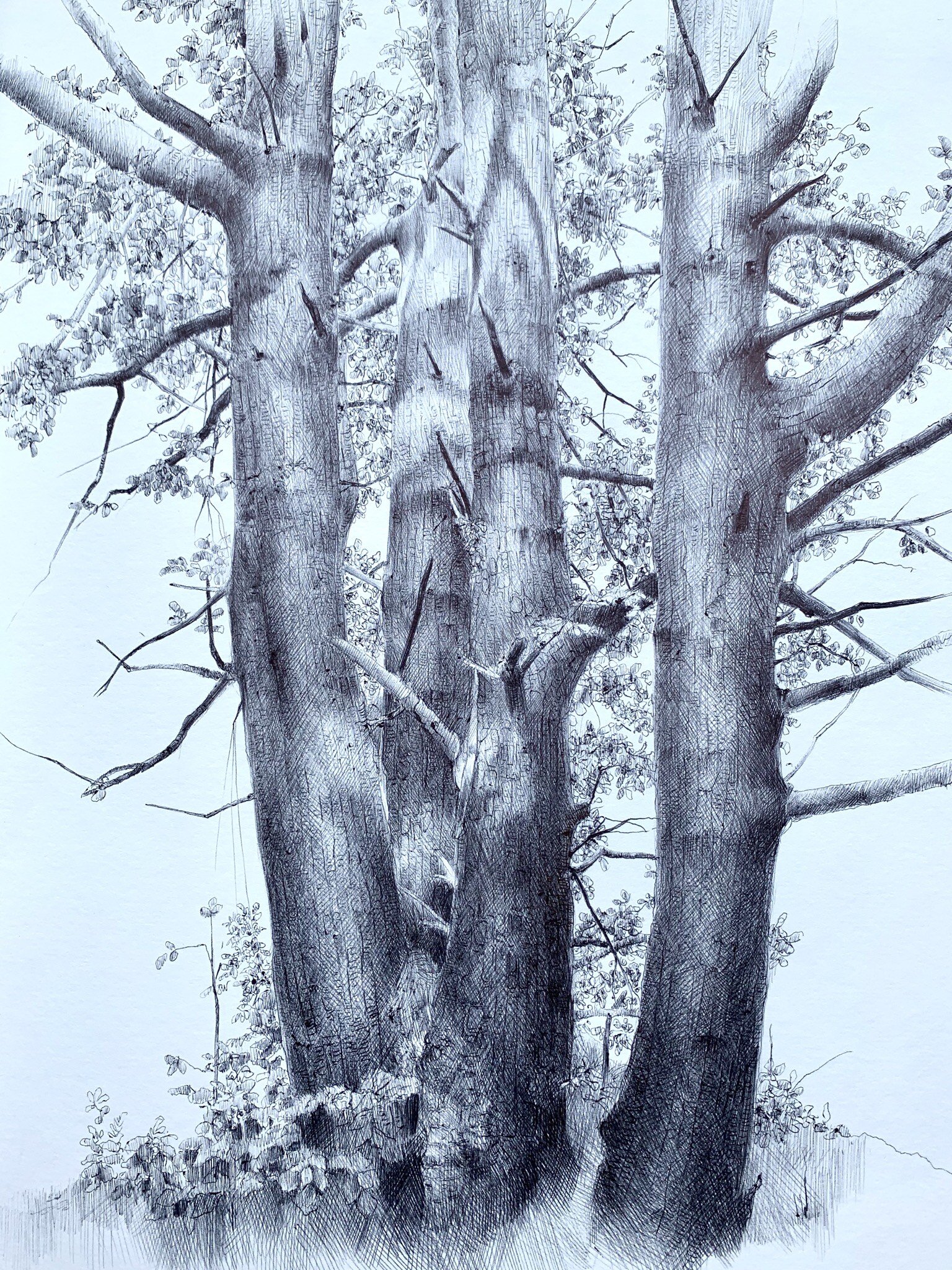 "March" - Dina Brodsky