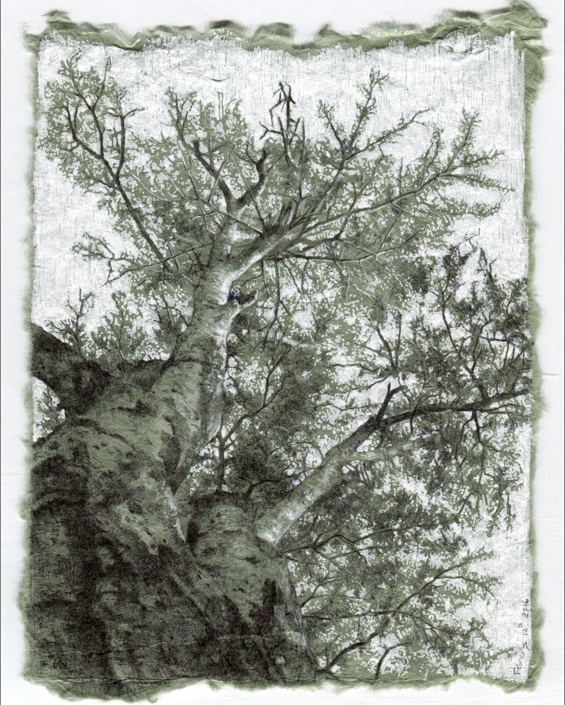 "Secret Life of Trees #66" - Dina Brodsky