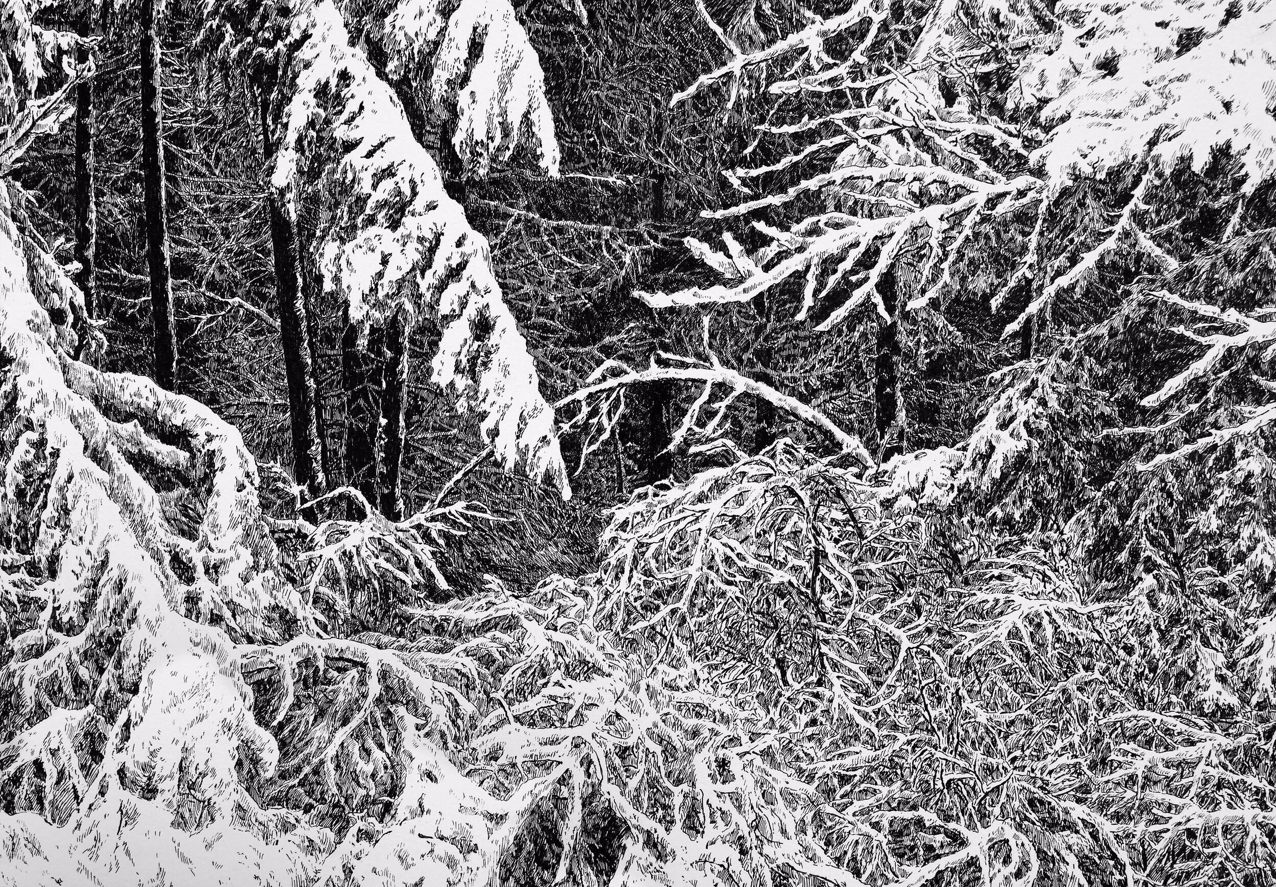 "Winter" - Lenka Falušiová