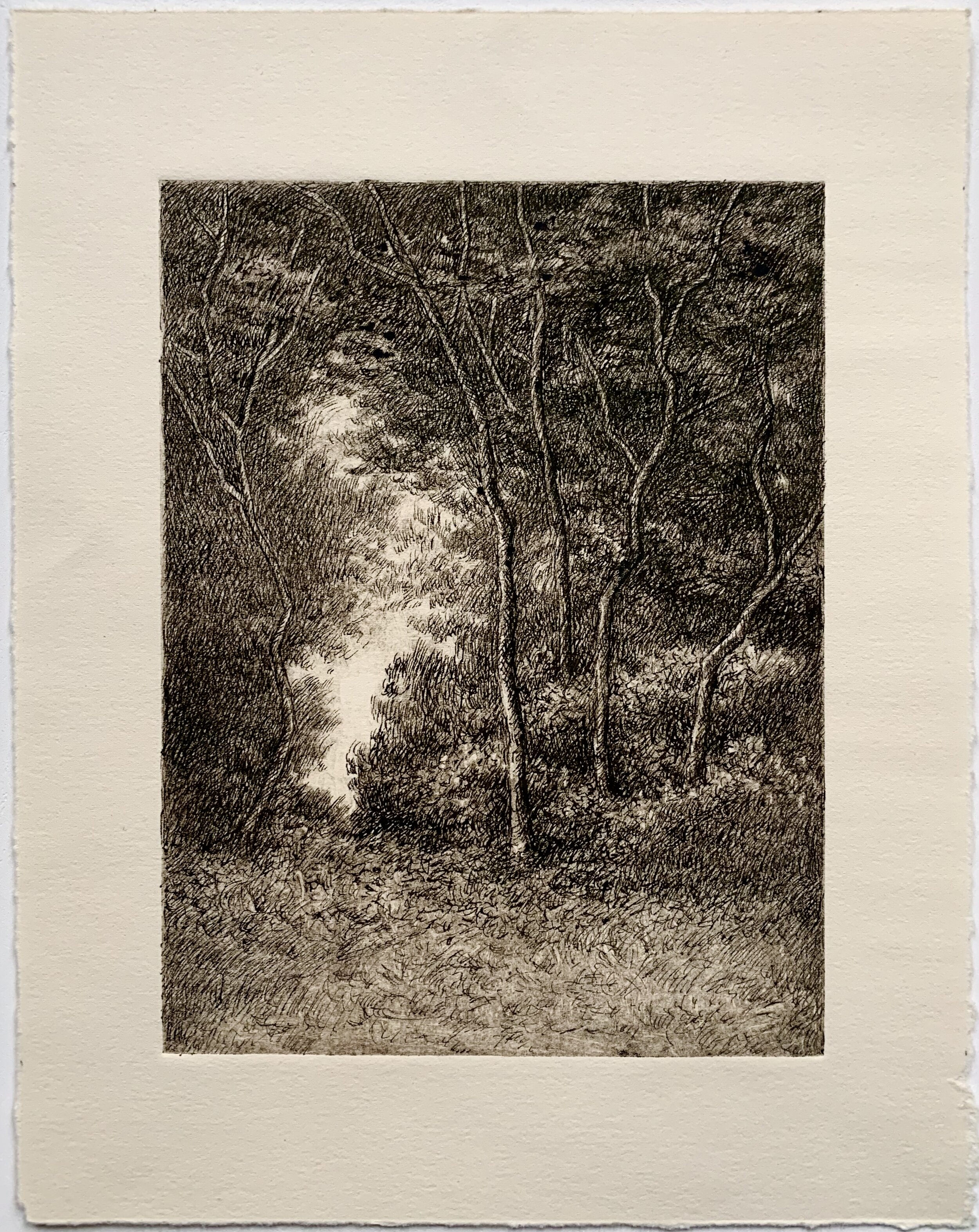 "Untitled" - Luis Colan