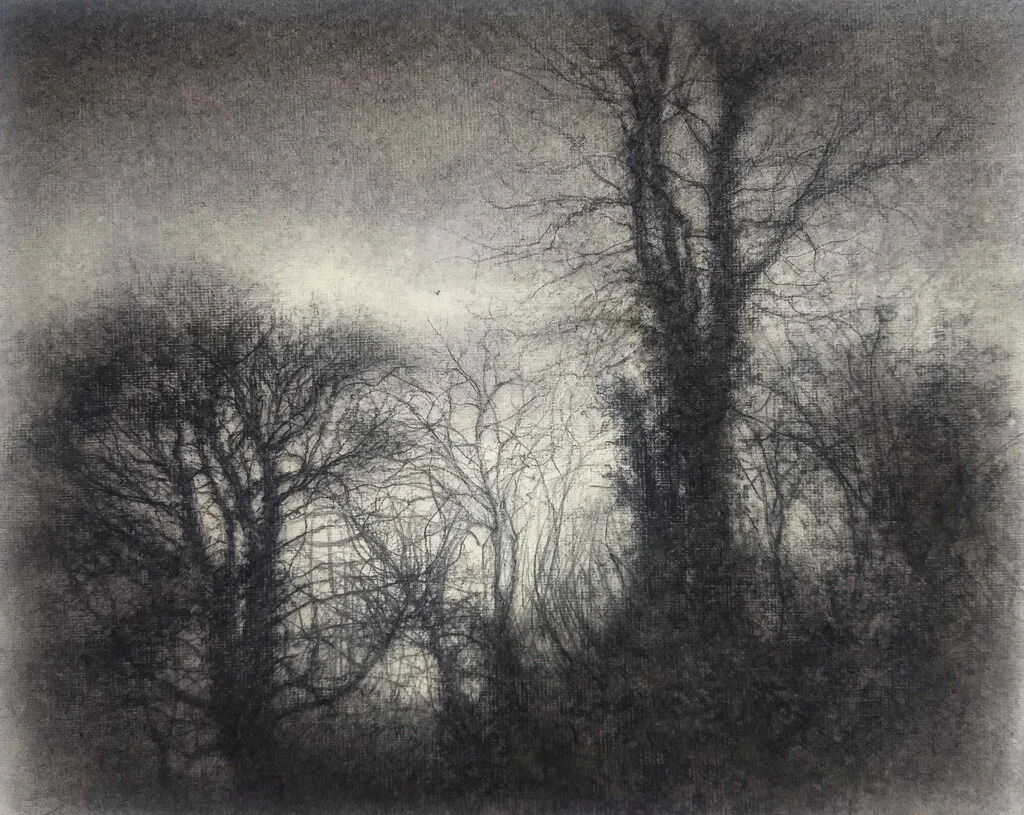 "Chroma 11" - Sue Bryan